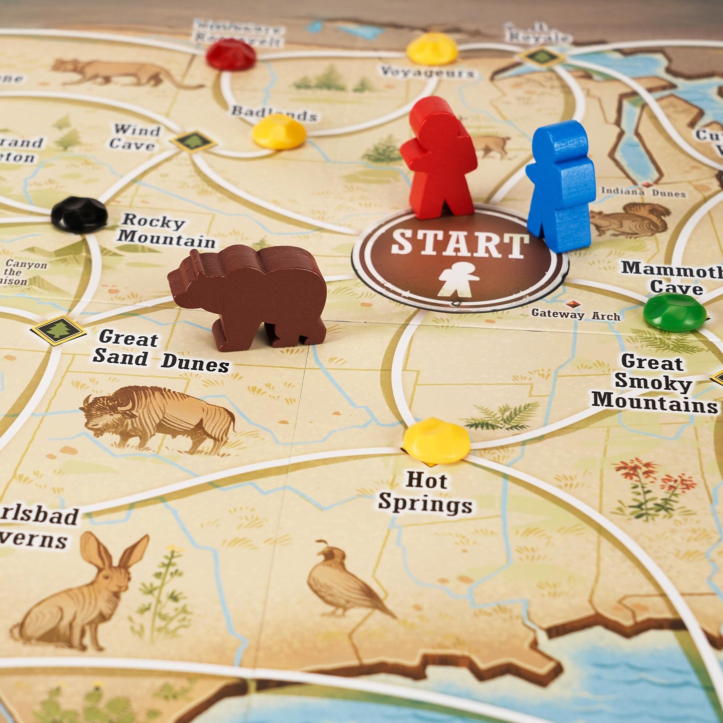 Trekking The National Parks (3rd Edition) - The Award-Winning Family Board Game | Great for Kids Ages 10 and Up | Easy to Learn | Designed for National Park Lovers by Underdog Games
