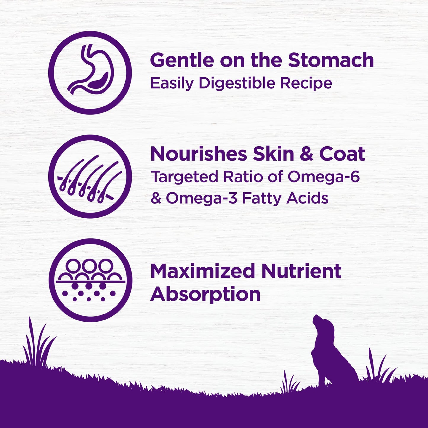 Wellness Complete Health Dry Dog Food, Wholesome Grains, Natural, Lamb & Barley Recipe, (30-Pound Bag)