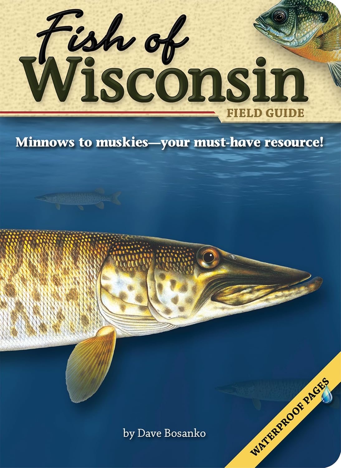 Fish of Wisconsin Field Guide (Fish Identification Guides)