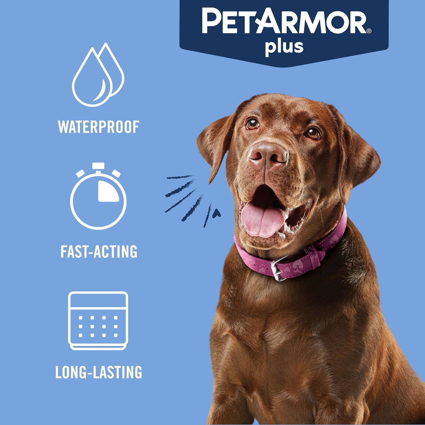 PetArmor Plus Flea and Tick Prevention for Cats, Cat Flea and Tick Treatment, 6 Dose, Waterproof Topical, Fast Acting, Cats Over 1.5 lbs