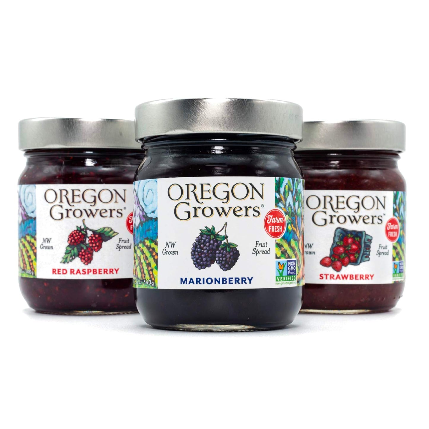 Oregon Growers, Marionberry Jam, Strawberry Jam, & Red Raspberry Jam Variety Pack - Marionberry Preserves, Strawberry Preserves, Red Raspberry Preserves, Organic Jelly - 12 Oz Each (Pack of 3)