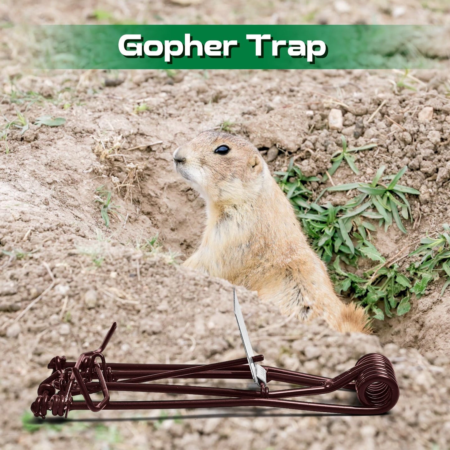 Qualirey 2 Pcs Outdoor Gopher Trap Easy Set Mole Trap Weather Resistant Gopher Killer Vole Killer for Lawn Garden Farm (Black)
