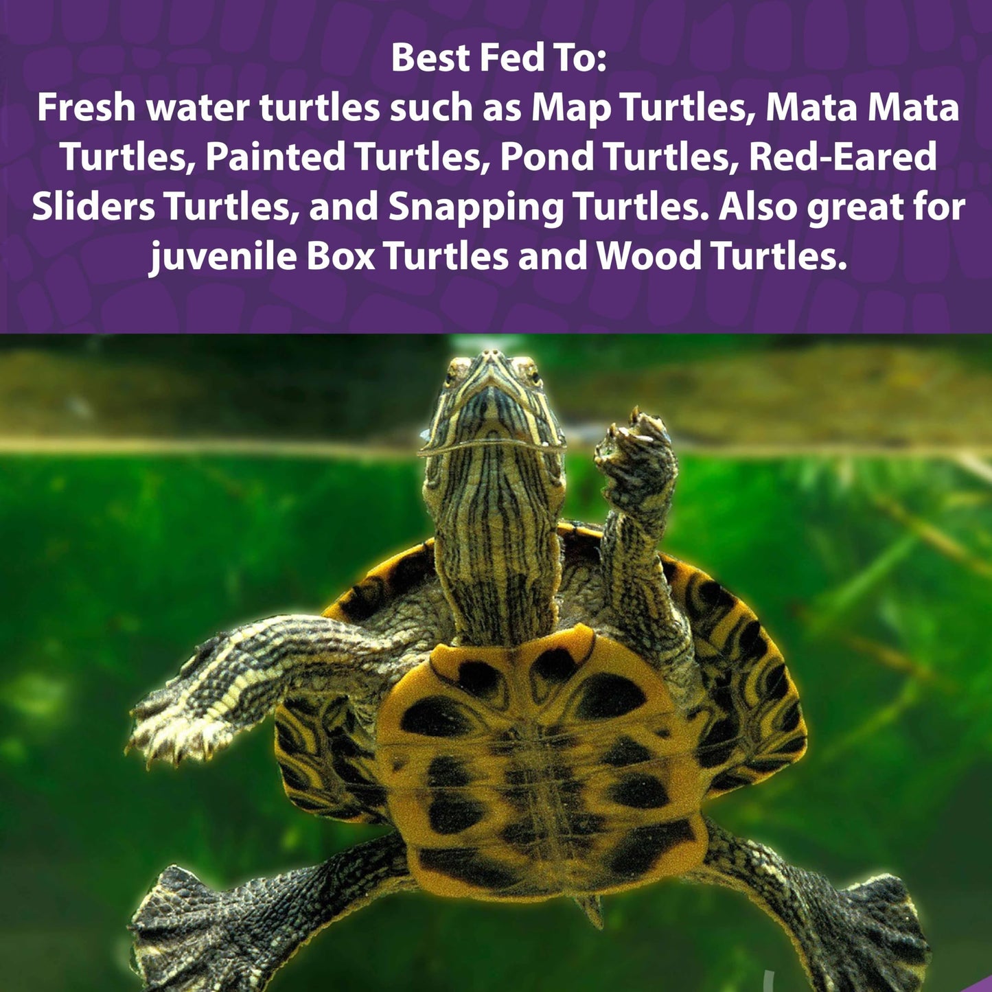 Mazuri | Nutritionally Complete Aquatic Turtle Food | Freshwater Formula - 12 Ounce (12 oz) Bag