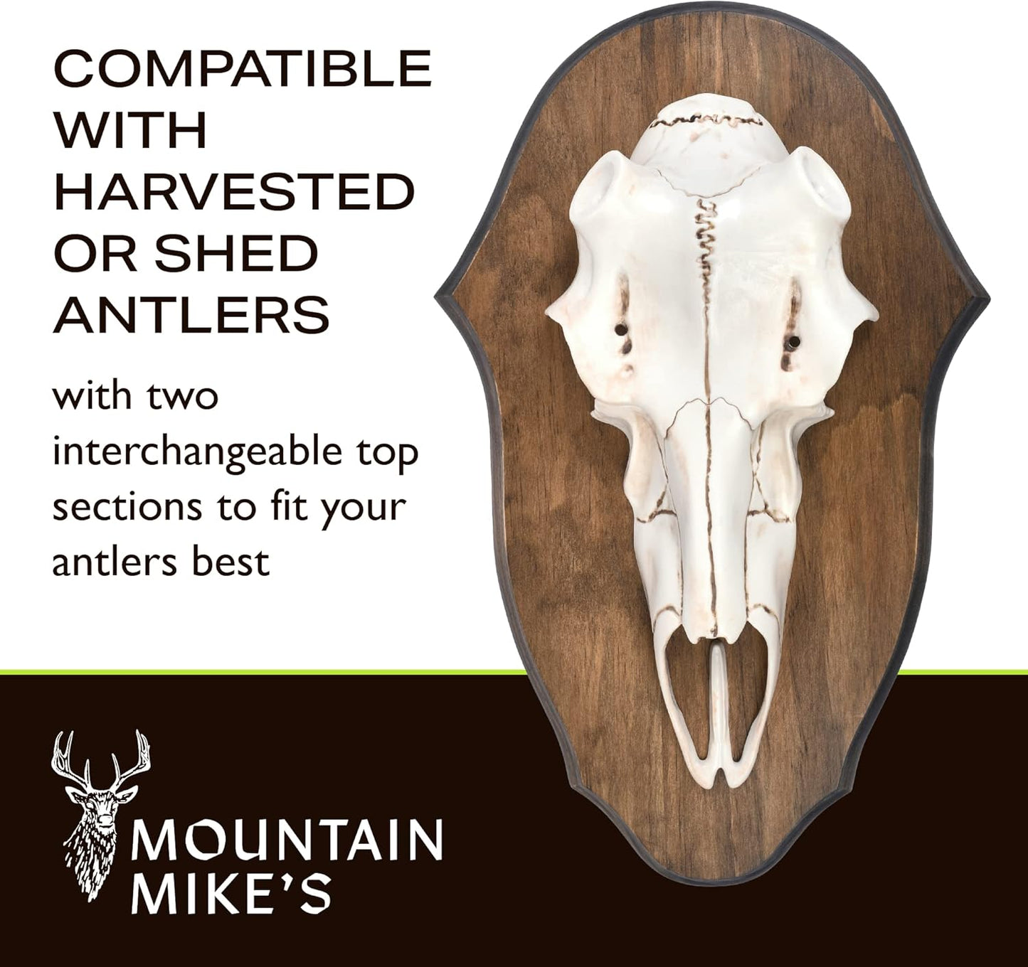 Mountain Mike’s Black Forest Universal Antler Mounting Kit - Plaque and 3D Skull Mount Kit - Compatible with Harvested and Shed Antlers - Rustic Home Decor - Great Outdoor Inspired (Natural Causes)