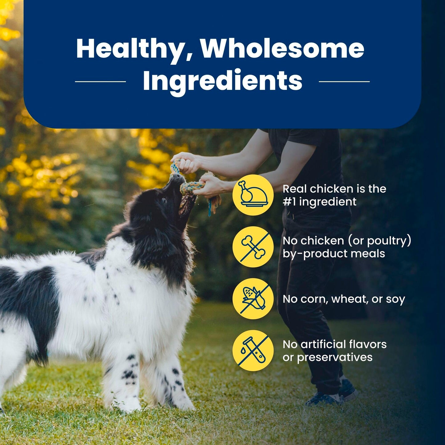 Blue Buffalo Life Protection Formula Adult Dry Dog Food, Helps Build and Maintain Strong Muscles, Made with Natural Ingredients, Chicken & Brown Rice Recipe, 15-lb. Bag