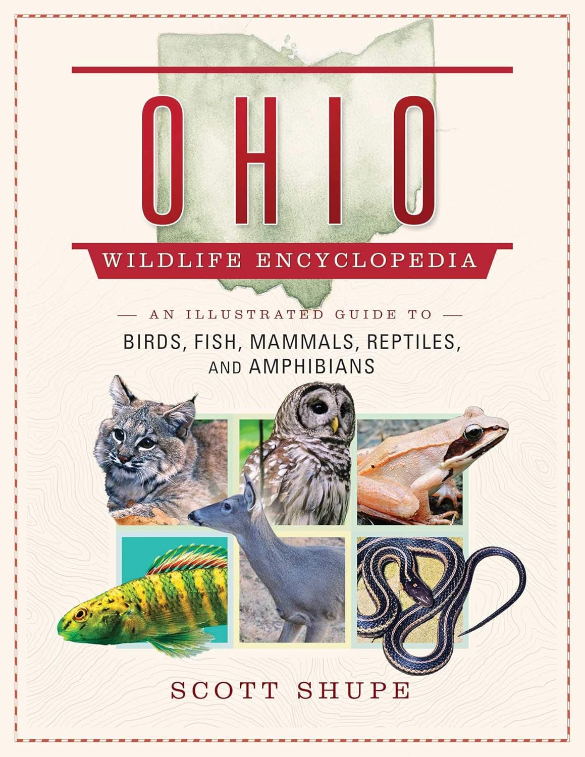 Ohio Wildlife Encyclopedia: An Illustrated Guide to Birds, Fish, Mammals, Reptiles, and Amphibians (Wildlife Encyclopedias)