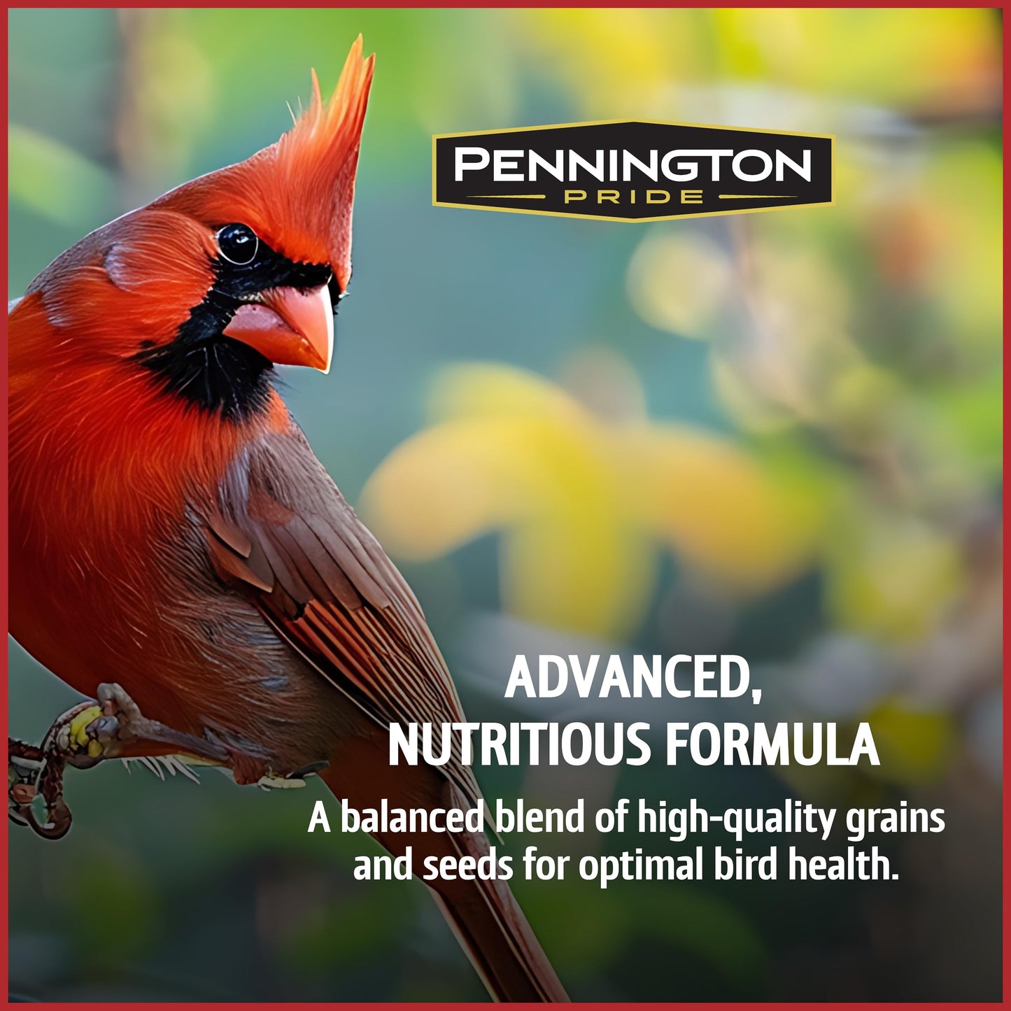 Pennington Pride Songbird Nut & Fruit Blend, Wild Bird Seed for Outside Feeders, Advanced Nutrition Formula for Bird Health, 10-lb. Bag