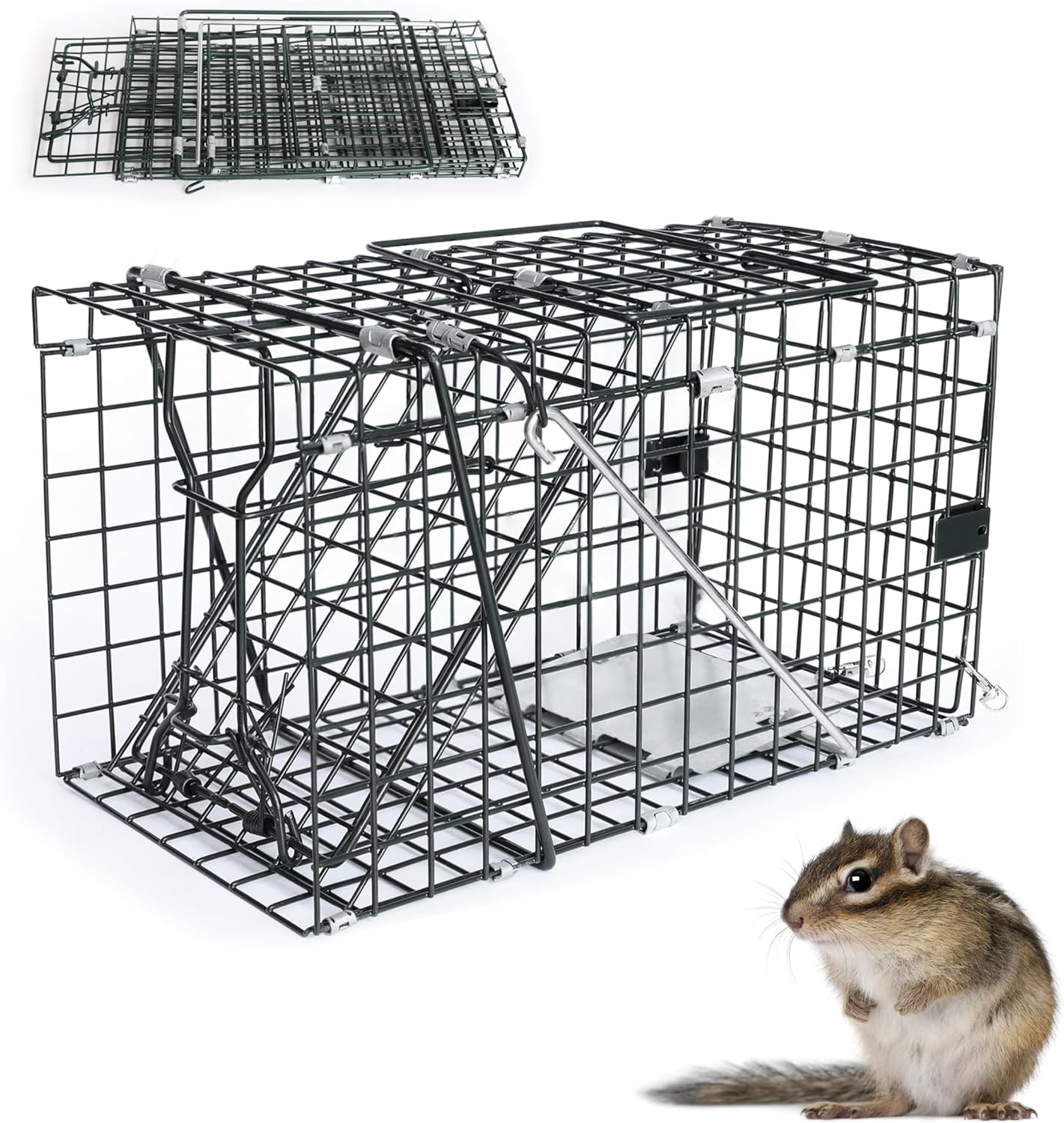 HOMESTEAD Collapsible Live Animal Trap 14.5” x 7.5” x 8.5” - Foldable Metal Trap for Small Rat, Chipmunk and Small Squirrel