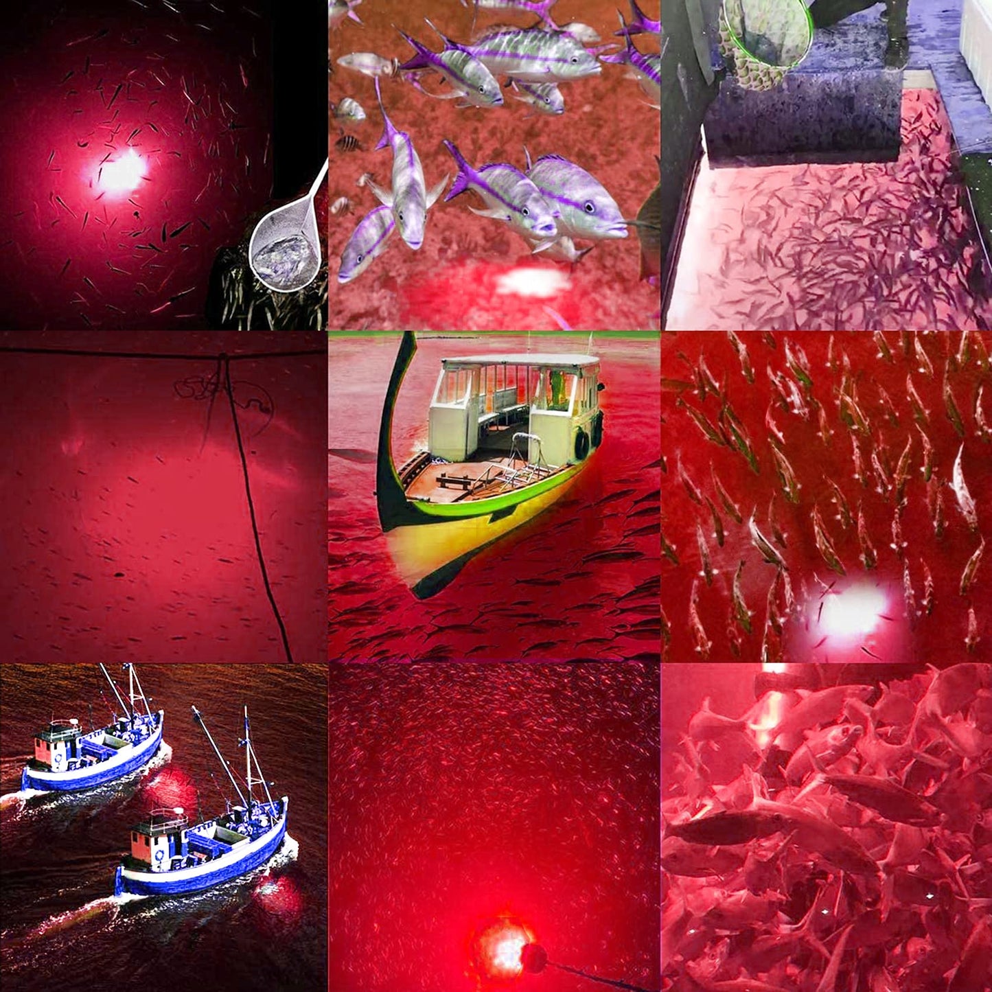 SAMDO IP68 12V LED Underwater Fishing Light 1080 Lumens Fish Attracting Light, Night Fishing Light 10.8W