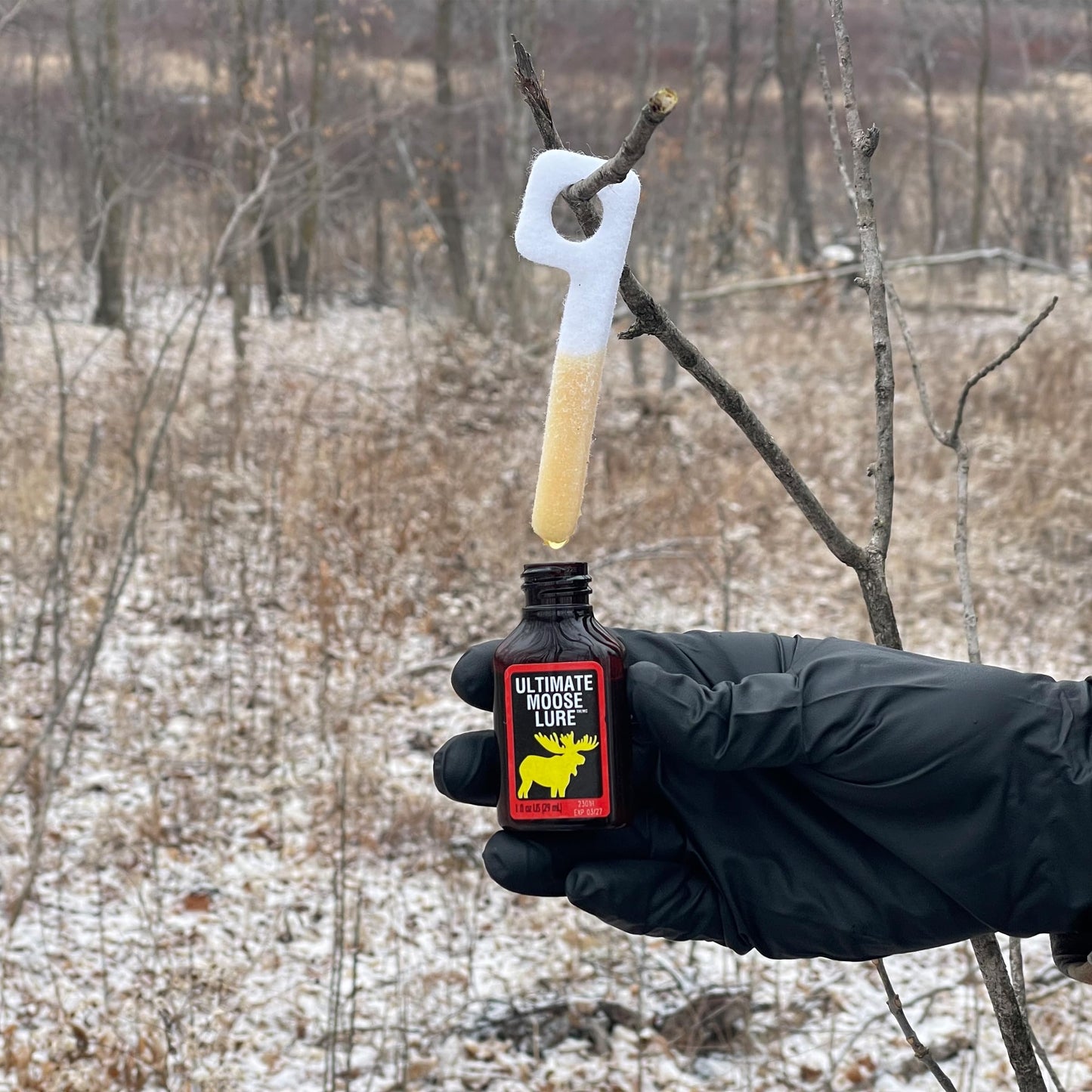 Wildlife Research Ultimate Moose Lure