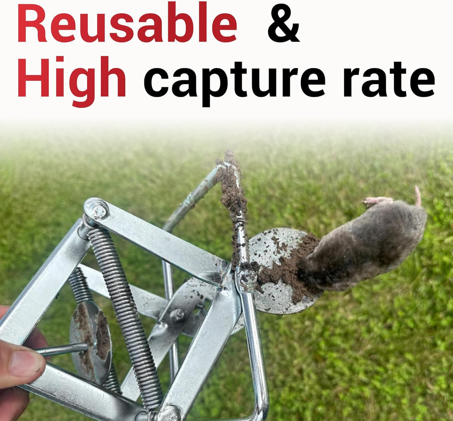 Mole Trap Scissor 2 Pack, Upgraded Mole Traps for Lawns That Kill Best, Galvanized Steel Mole Killer, Easy Step Setup