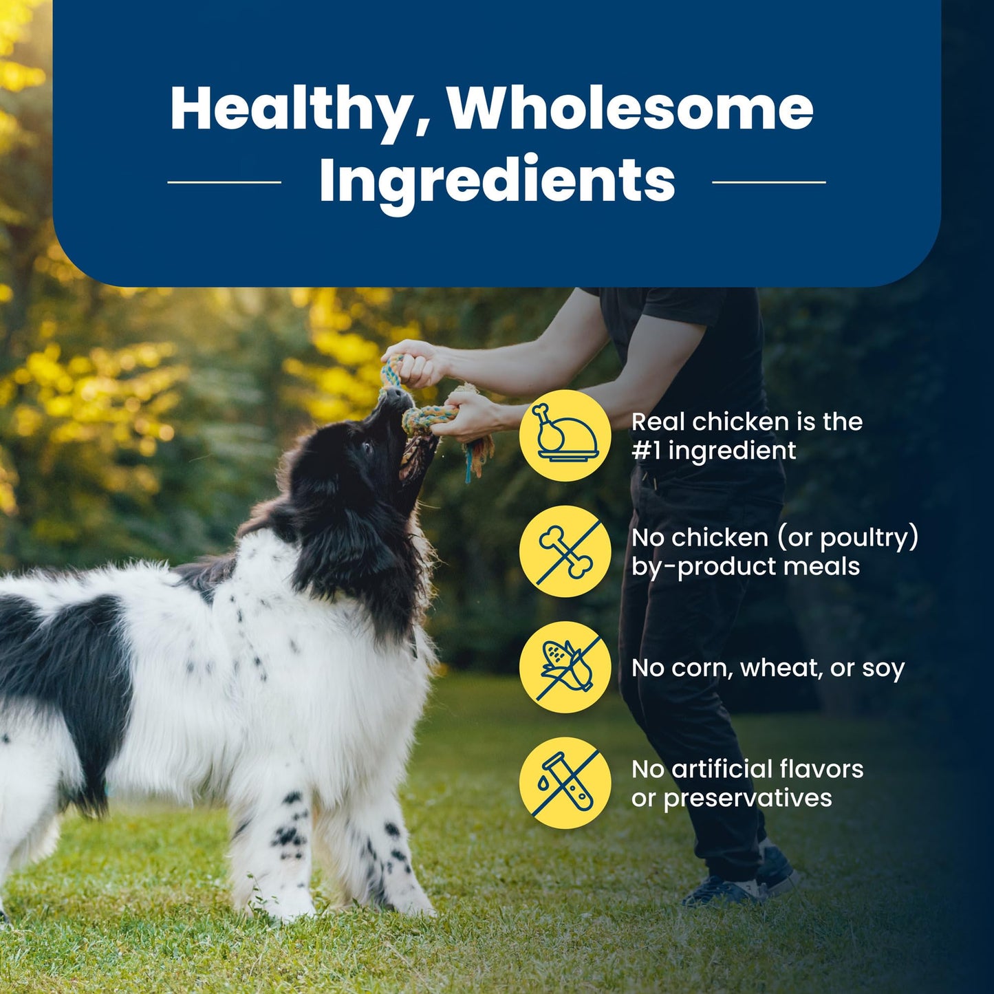 Blue Buffalo Life Protection Formula Adult Dry Dog Food, Helps Build and Maintain Strong Muscles, Made with Natural Ingredients, Chicken & Brown Rice Recipe, 15-lb. Bag