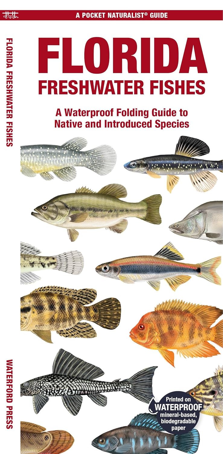fish florida with telescopic fishing rod Florida Freshwater Fishes : A Folding Pocket Guide to Native and Introduced Species