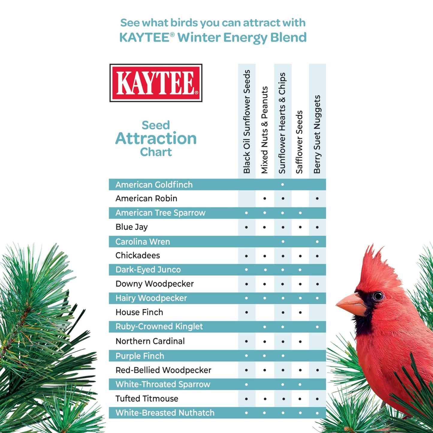 Kaytee Wild Bird Food, Summer Nesting Seed Blend, 8 lb