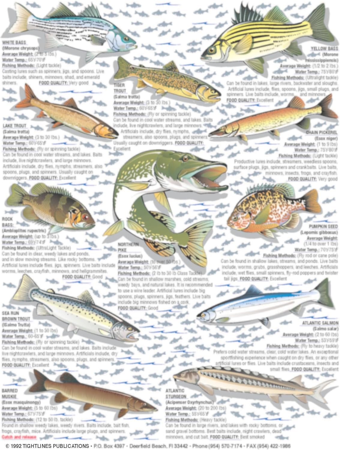 How to Catch'em Freshwater Fish Identification #4 - Waterproof Quick Reference Guide | (Weight, Water Temp, Fishing Methods, and Food Quality)