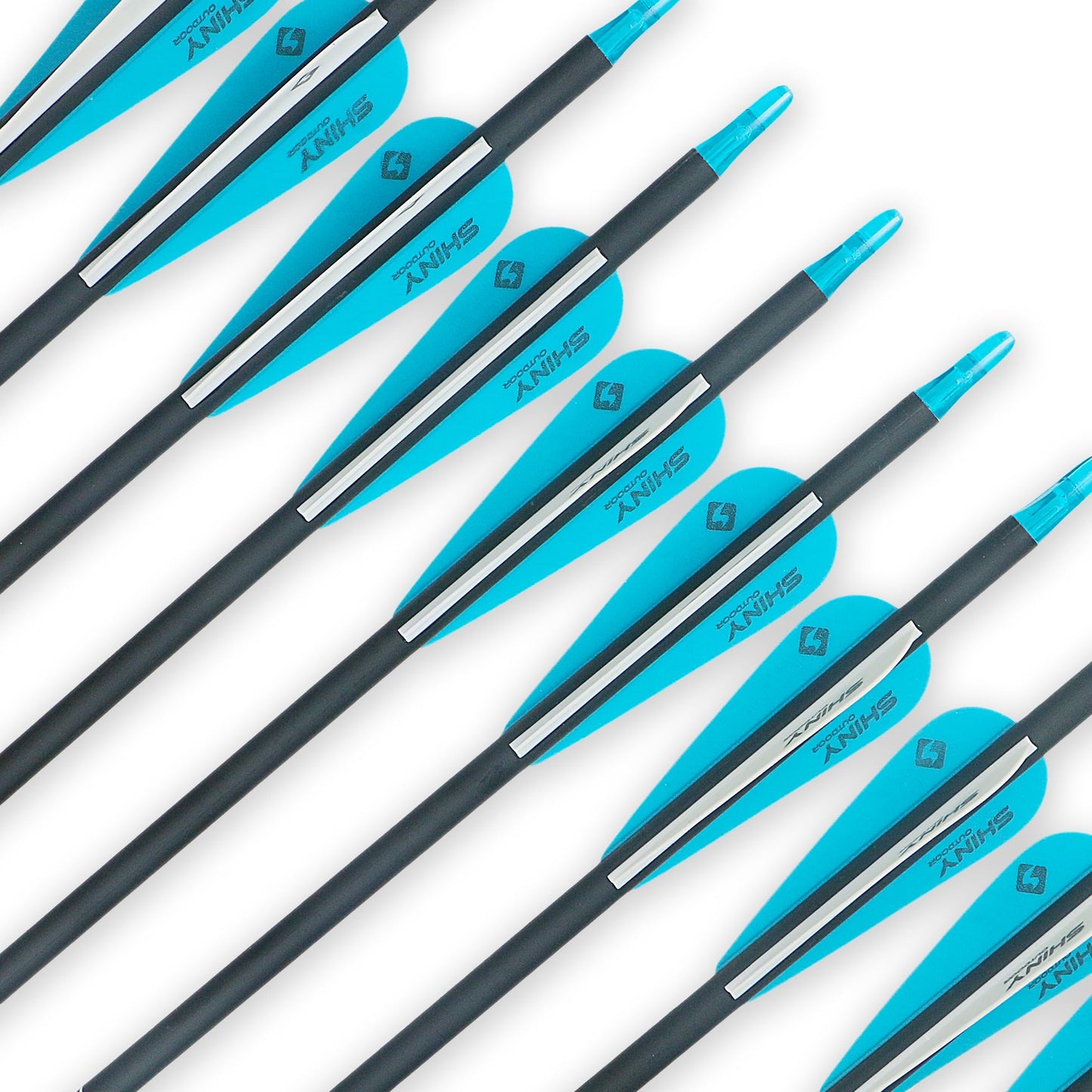 30Inch Carbon Arrow Practice Hunting Arrows with Removable Tips for Compound & Recurve Bow(Pack of 12)