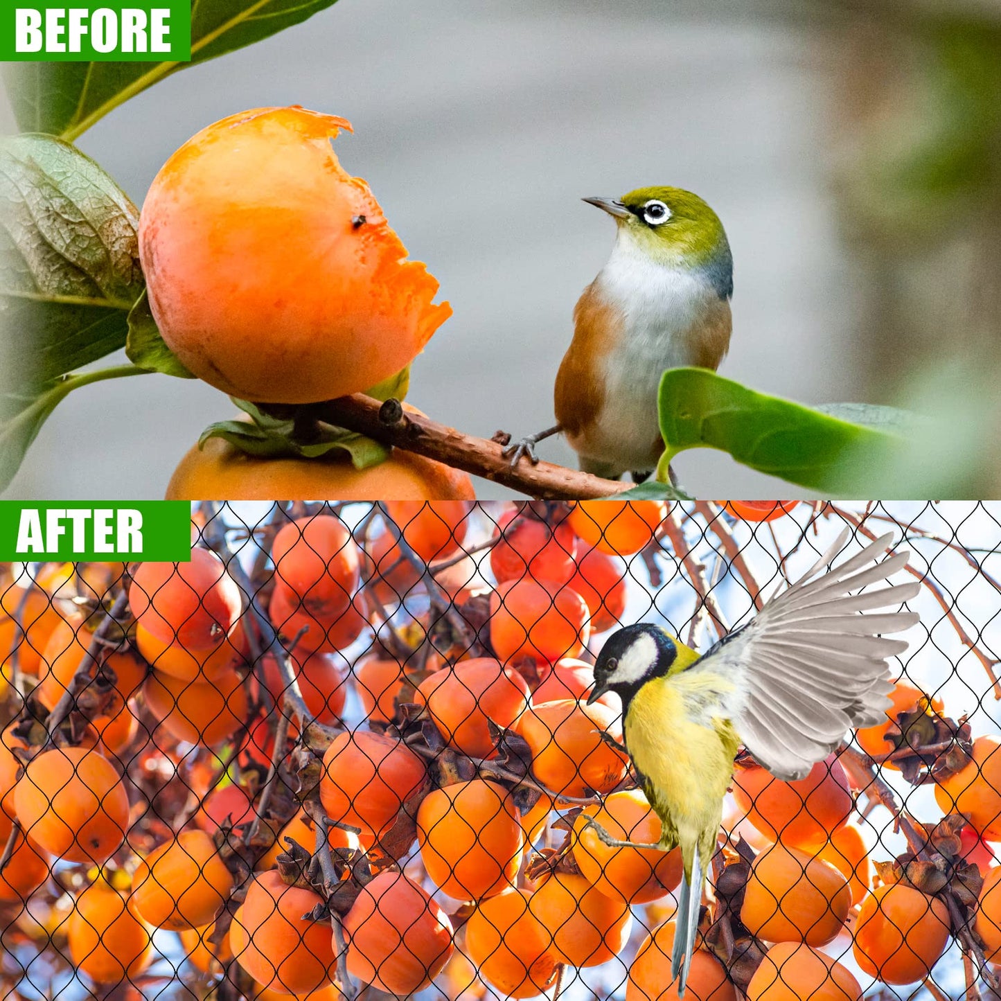 Bird Netting for Chicken Coop - 50x50ft Poultry Netting Over Chicken Run & Chicken Pen, Heavy Duty 2.4” Mesh Garden Net for Blueberry Bushes, Fruit Trees and Vegetable Against Birds, Deer, Squirrels