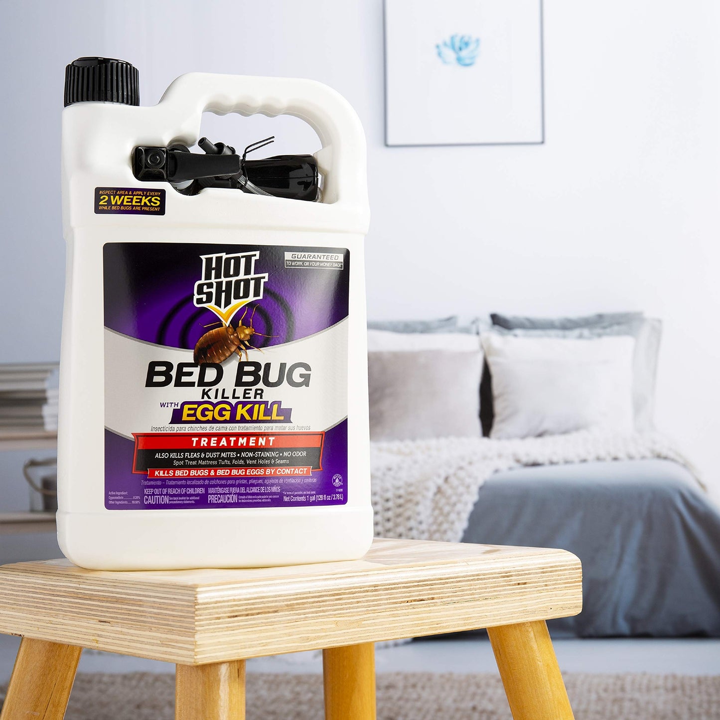 Hot Shot Bed Bug & Flea Fogger Pack 3-Pack, Kills Bed Bugs and Fleas Indoors, Get Rid of Fleas In House, Inhibits Reinfestation Up to 7 Months