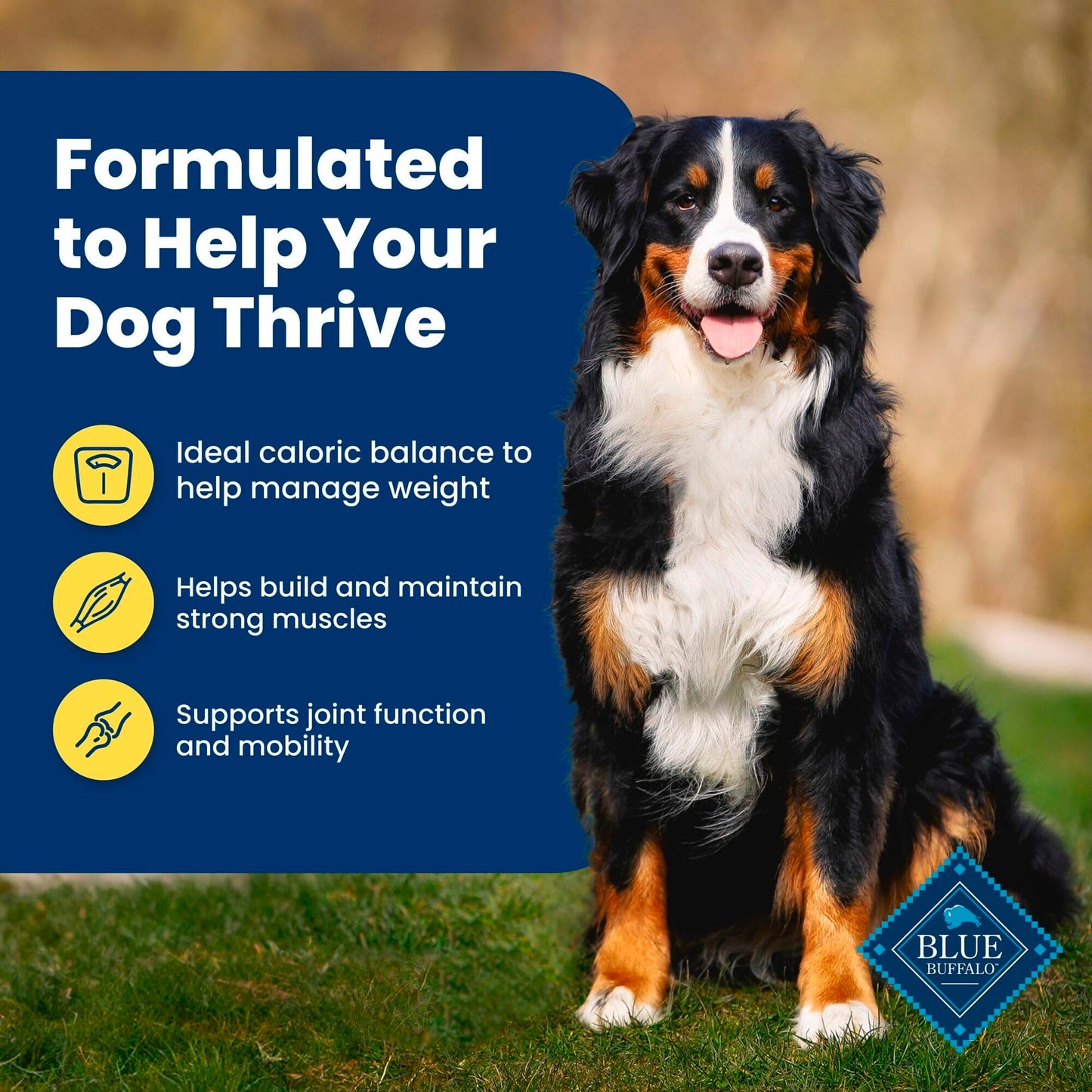 Blue Buffalo Life Protection Formula Adult Dry Dog Food, Helps Build and Maintain Strong Muscles, Made with Natural Ingredients, Chicken & Brown Rice Recipe, 15-lb. Bag
