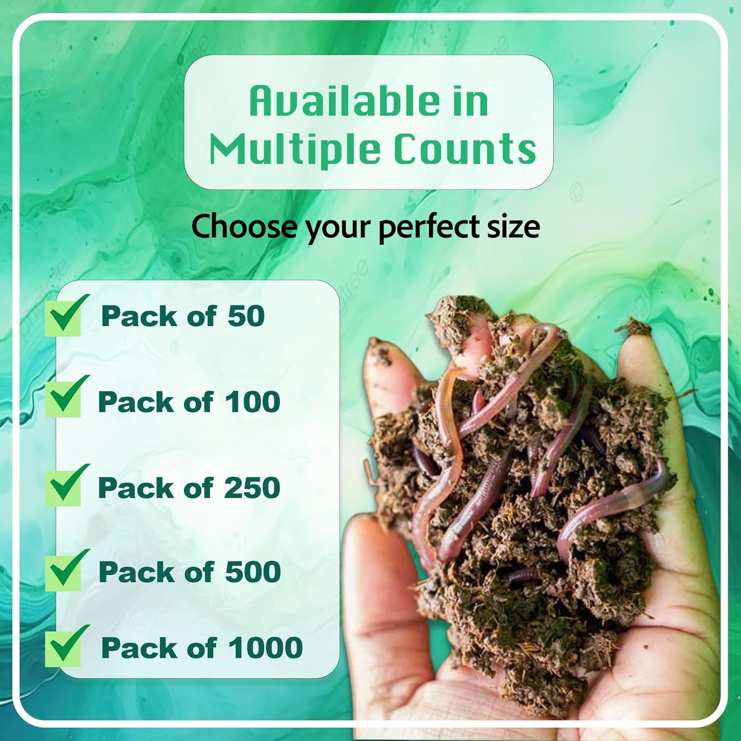European Nightcrawlers - Approx. 125-150 Live Composting & Fishing Worms, Premium High-Performance Bait for Anglers, Versatile for Trout, Panfish, & Garden Soil Enrichment, Fresh Live Arrival Promised