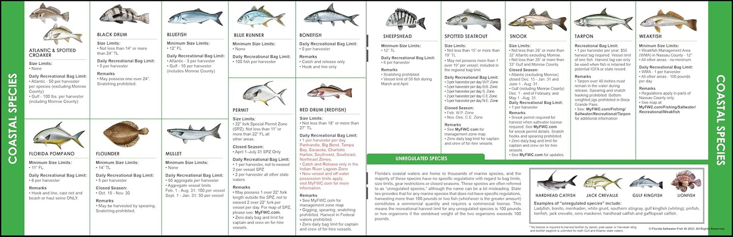 Florida Saltwater Fishing Guide. 100% Waterproof Fish Identification Book with 12 Pages, FWC Rules, Limits, and Seasonal Regulations, 70+ Fish and Shark Photos, Angler and Fisherman Chart