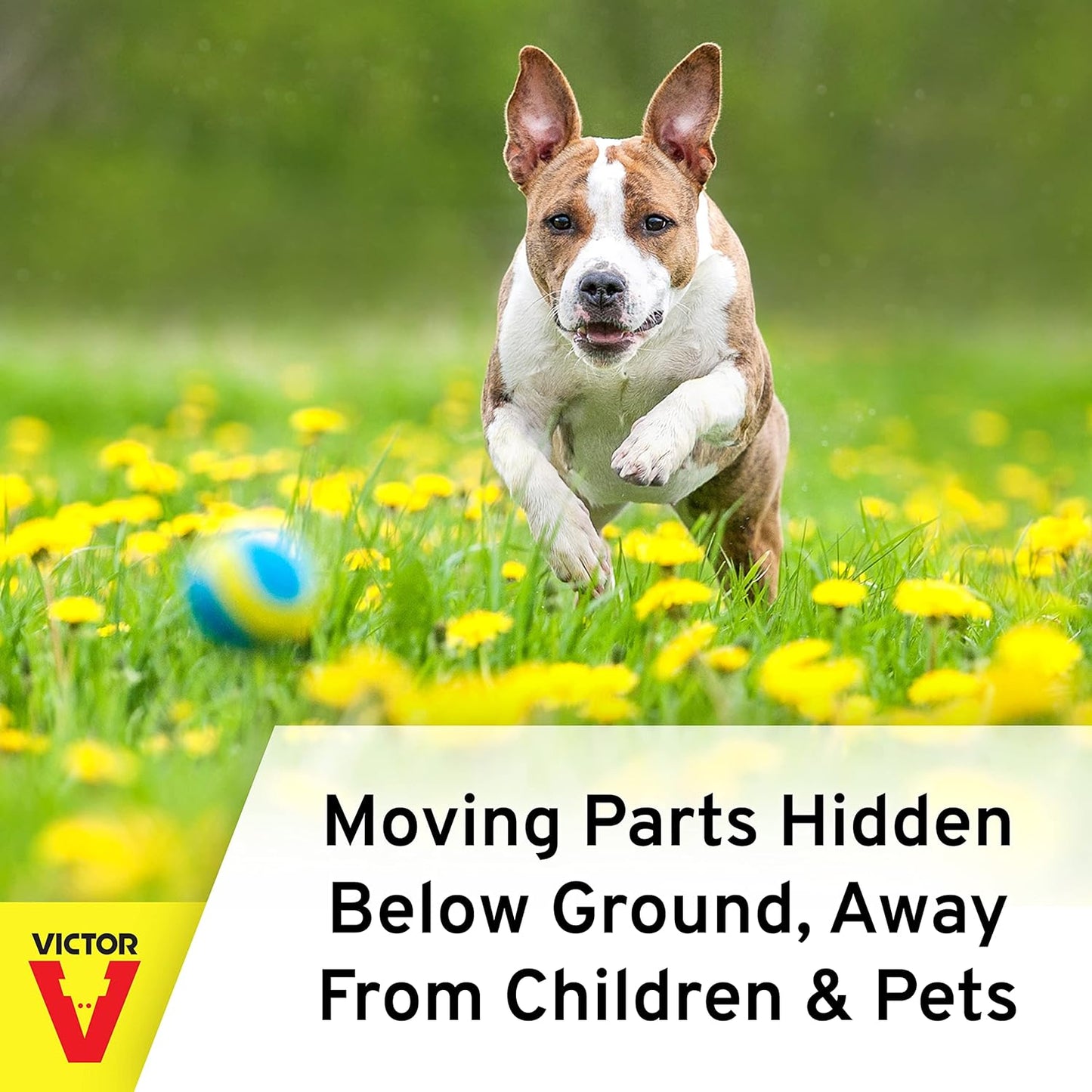 Victor 0626 Black Box Gopher Trap - Gopher Traps - Gopher Trap