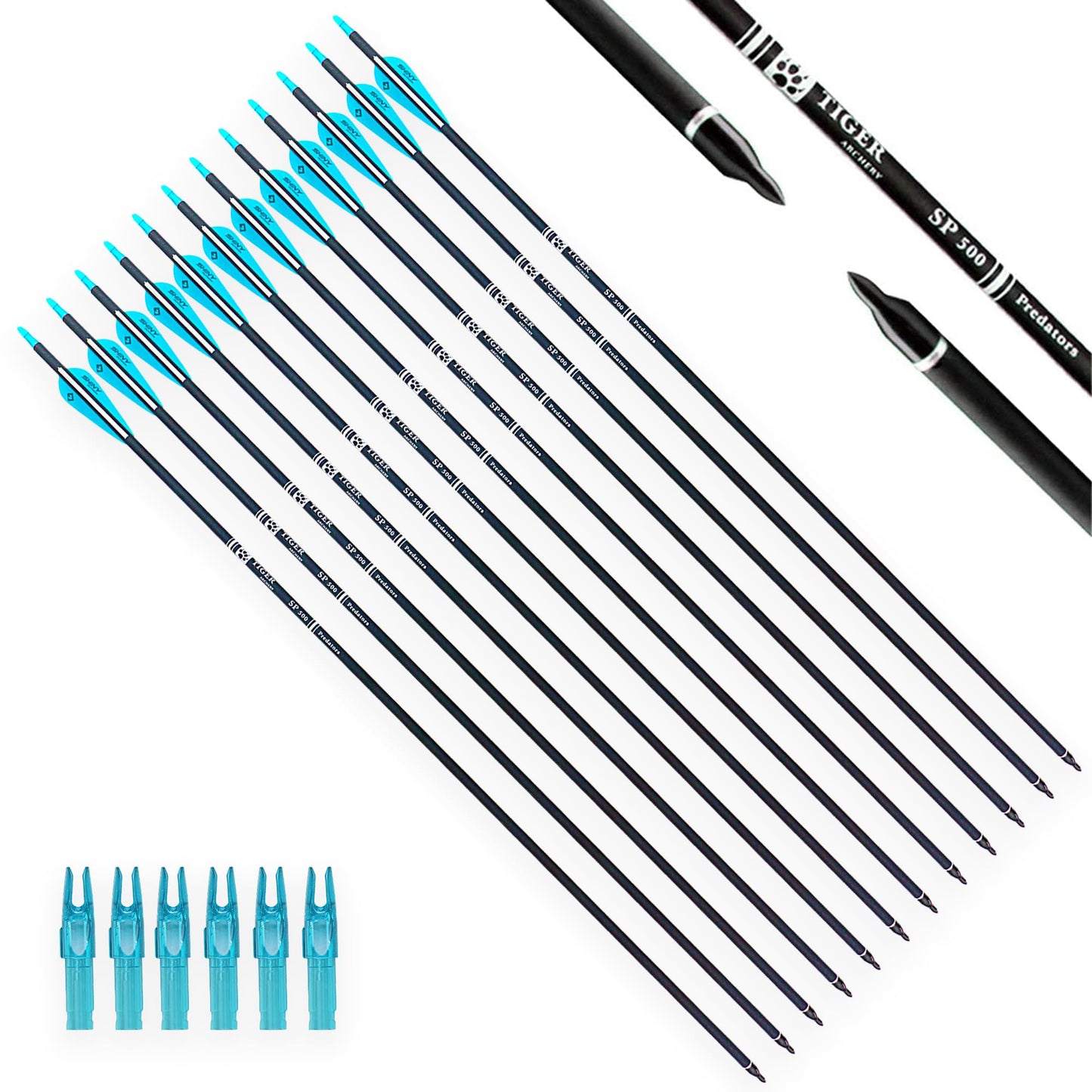30Inch Carbon Arrow Practice Hunting Arrows with Removable Tips for Compound & Recurve Bow(Pack of 12)