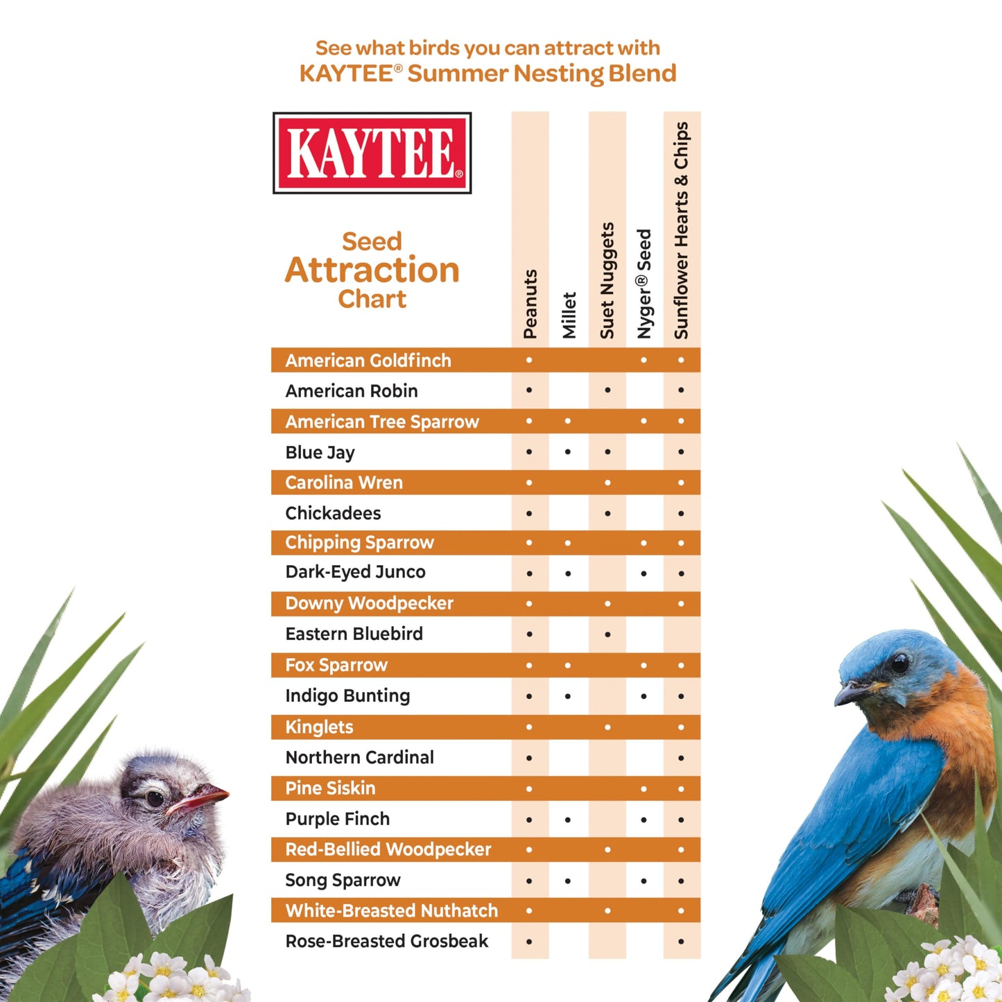 Kaytee Wild Bird Food, Summer Nesting Seed Blend, 8 lb