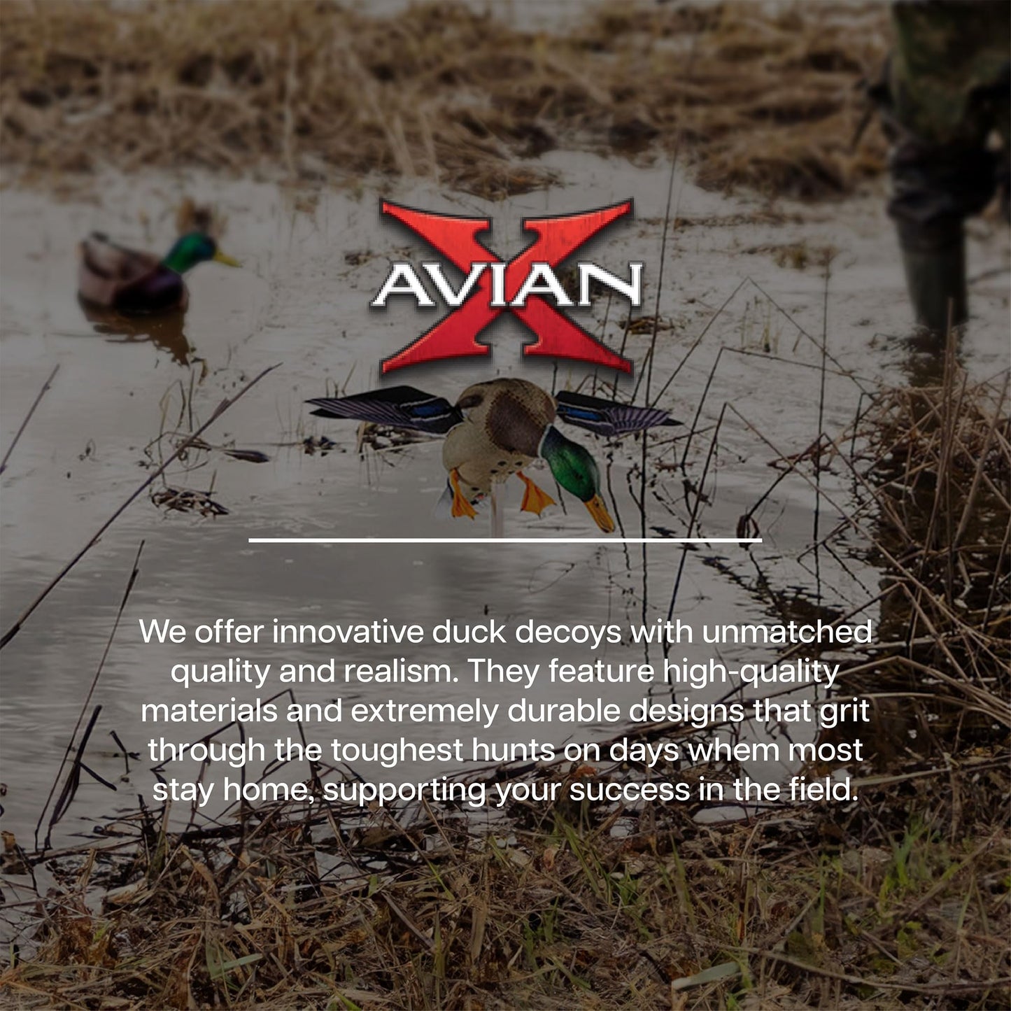 Avian X Powerflight Smart Motion Mallard Spinning Wing Realistic Design Duck Decoy, Ideal for Outdoor Hunting Adventures