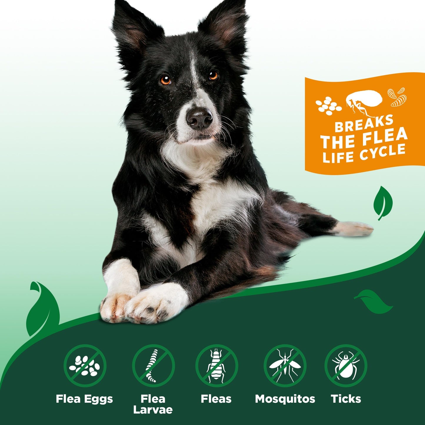 Vet's Best Flea and Tick Home Spray - Dog Flea and Tick Treatment for Home - Plant-Based Formula - Certified Natural Oils,Green - 32 oz