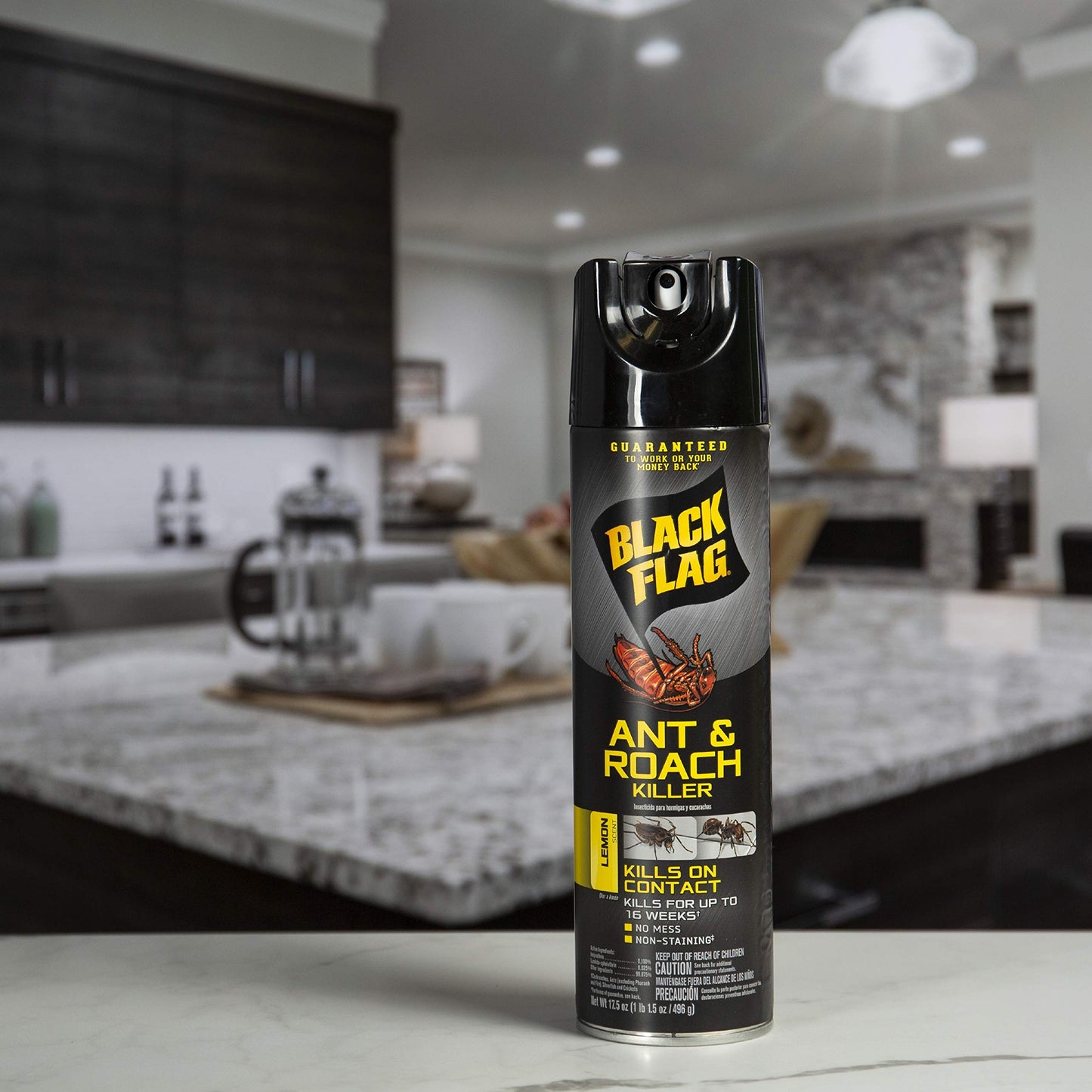 Black Flag Extreme Flea Killer Plus Growth Regulator RTU for Insects, 1-gal, 128 Oz