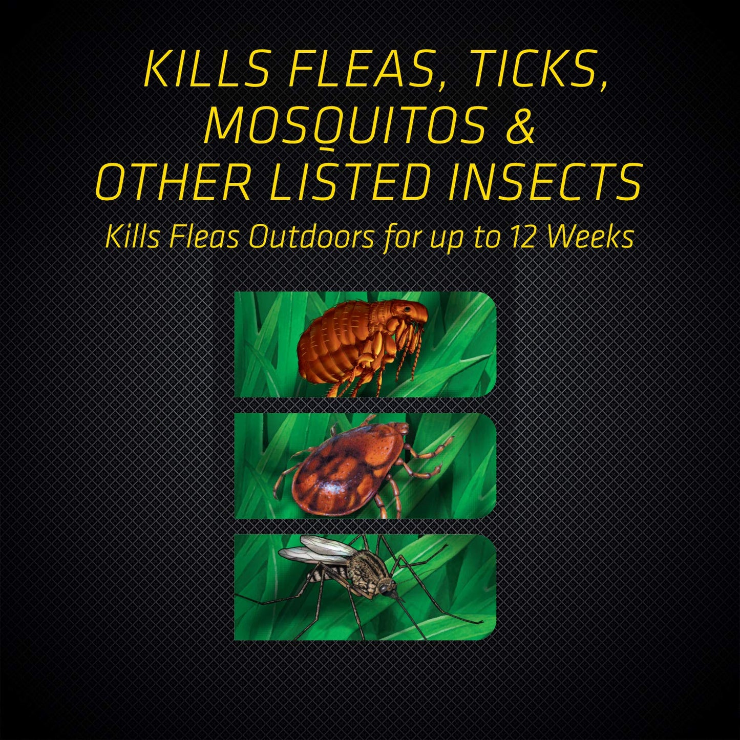 Black Flag Extreme Flea Killer Plus Growth Regulator RTU for Insects, 1-gal, 128 Oz