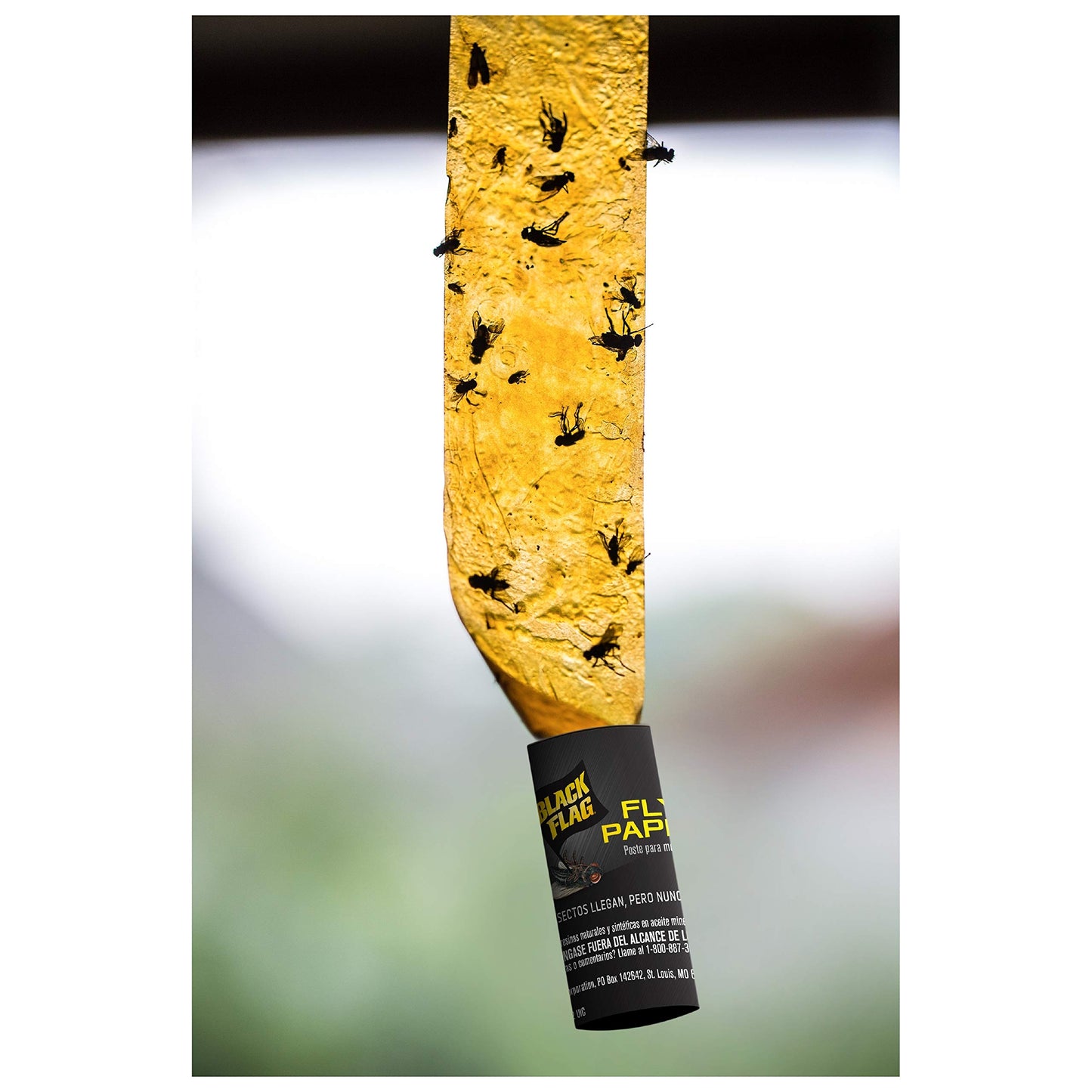Black Flag Fly Stick, Trap Houseflies and Flying Insects, Pack of 6