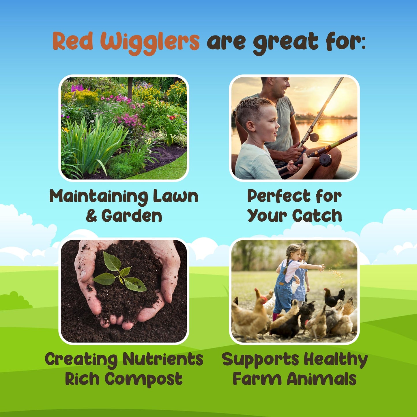 Red Wigglers Composting Worms - 1/2lb (500 Count) Red Worms for Composting Bin, Red Wiggler Worms for Plants or Gardening, Red Compost Worms for Soil Fertility & Worm Farm, Easy to Manage