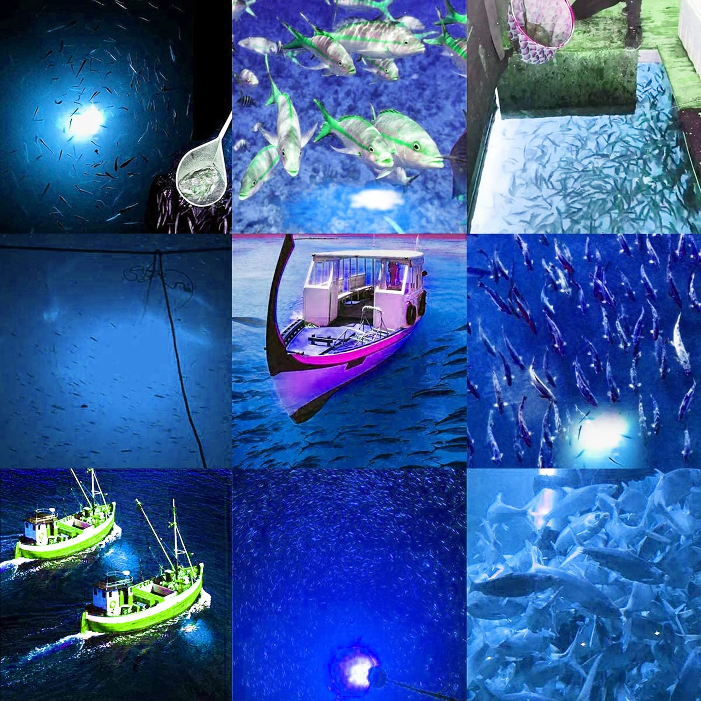 SAMDO IP68 12V LED Underwater Fishing Light 1080 Lumens Fish Attracting Light, Night Fishing Light 10.8W
