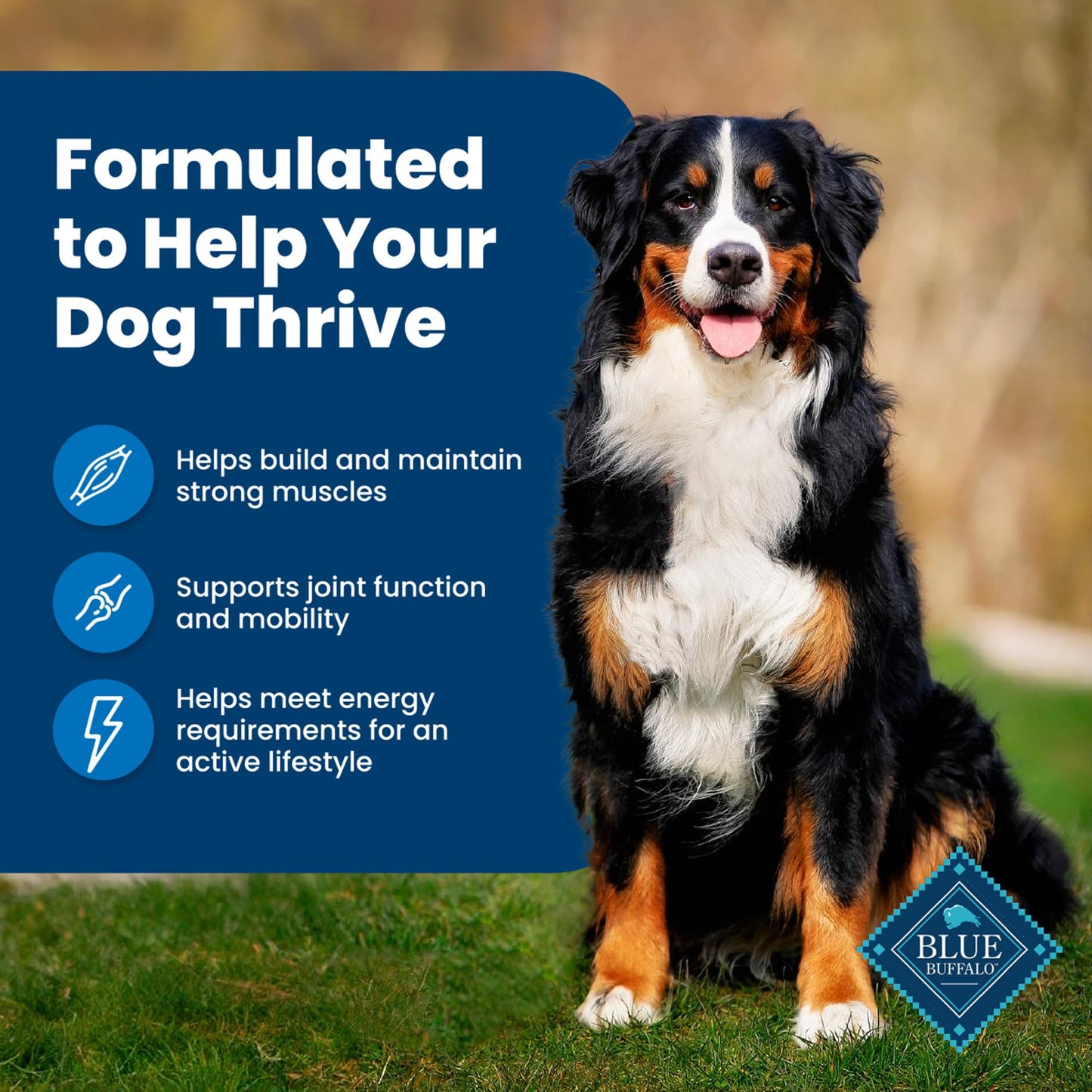 Blue Buffalo Life Protection Formula Adult Dry Dog Food, Helps Build and Maintain Strong Muscles, Made with Natural Ingredients, Chicken & Brown Rice Recipe, 15-lb. Bag