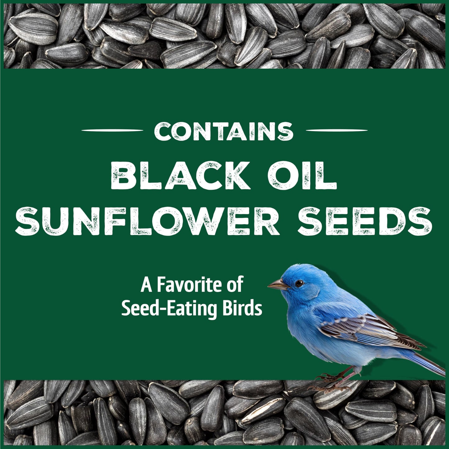Pennington Pride Songbird Nut & Fruit Blend, Wild Bird Seed for Outside Feeders, Advanced Nutrition Formula for Bird Health, 10-lb. Bag