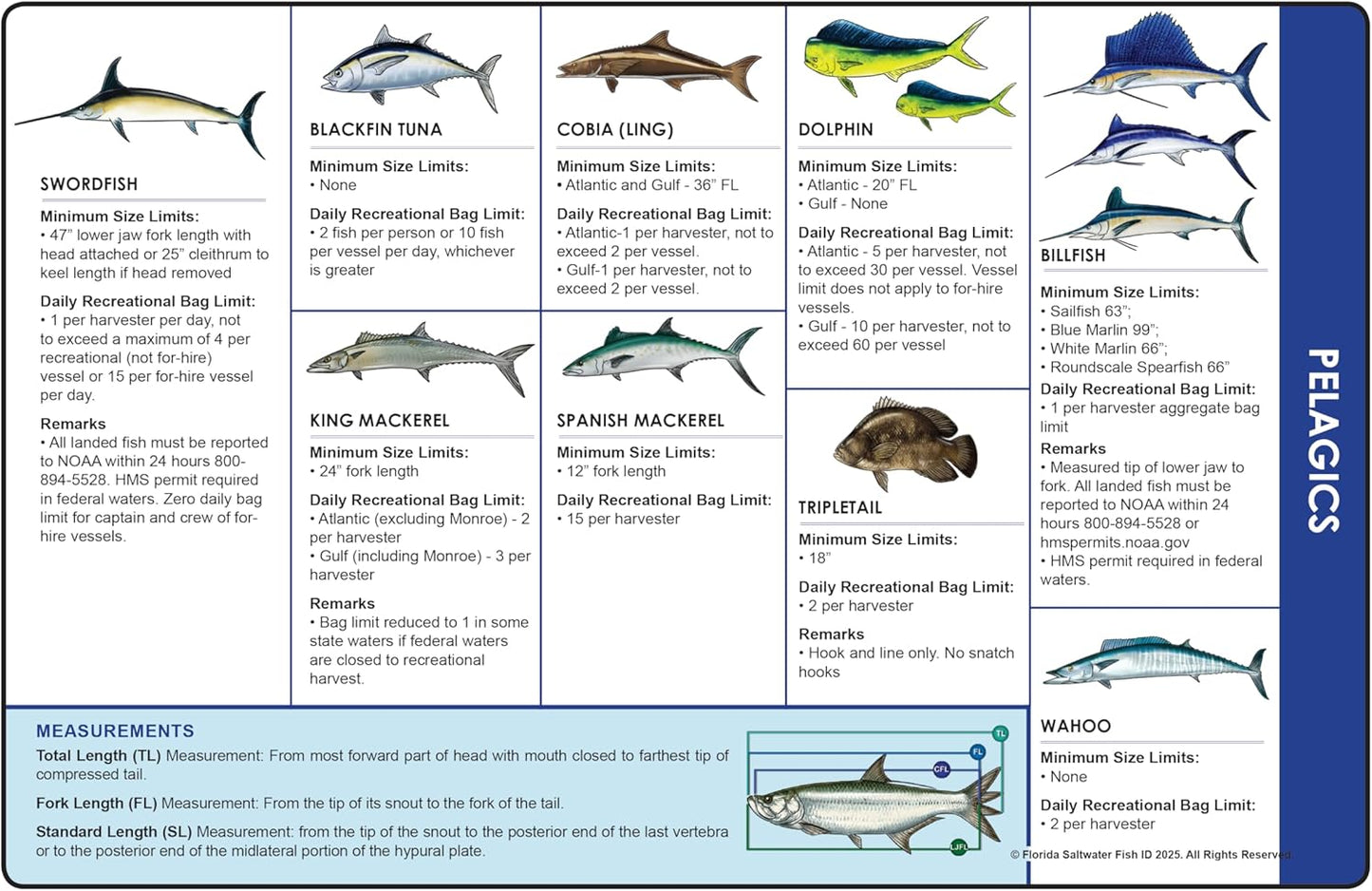 Florida Saltwater Fishing Guide. 100% Waterproof Fish Identification Book with 12 Pages, FWC Rules, Limits, and Seasonal Regulations, 70+ Fish and Shark Photos, Angler and Fisherman Chart