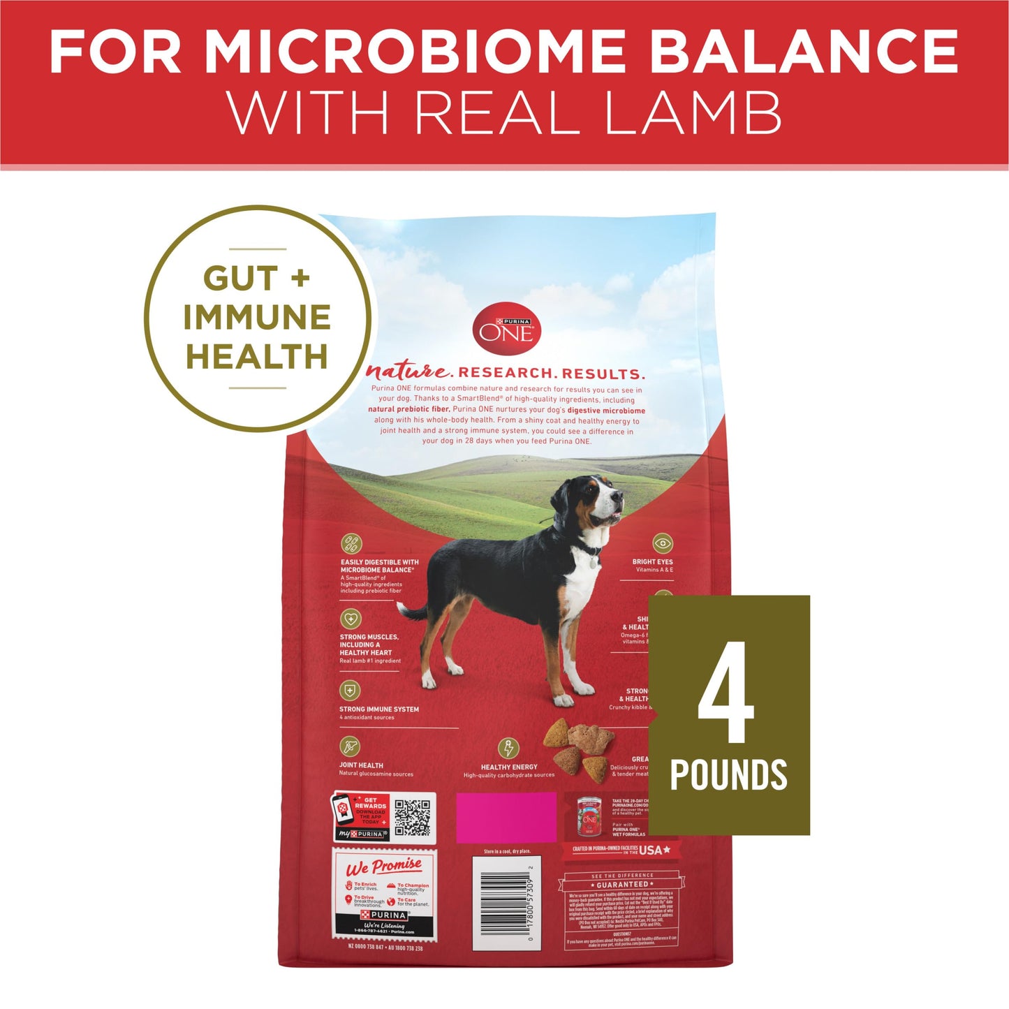 Purina ONE Dry Dog Food Lamb and Rice Formula - 31.1 lb. Bag