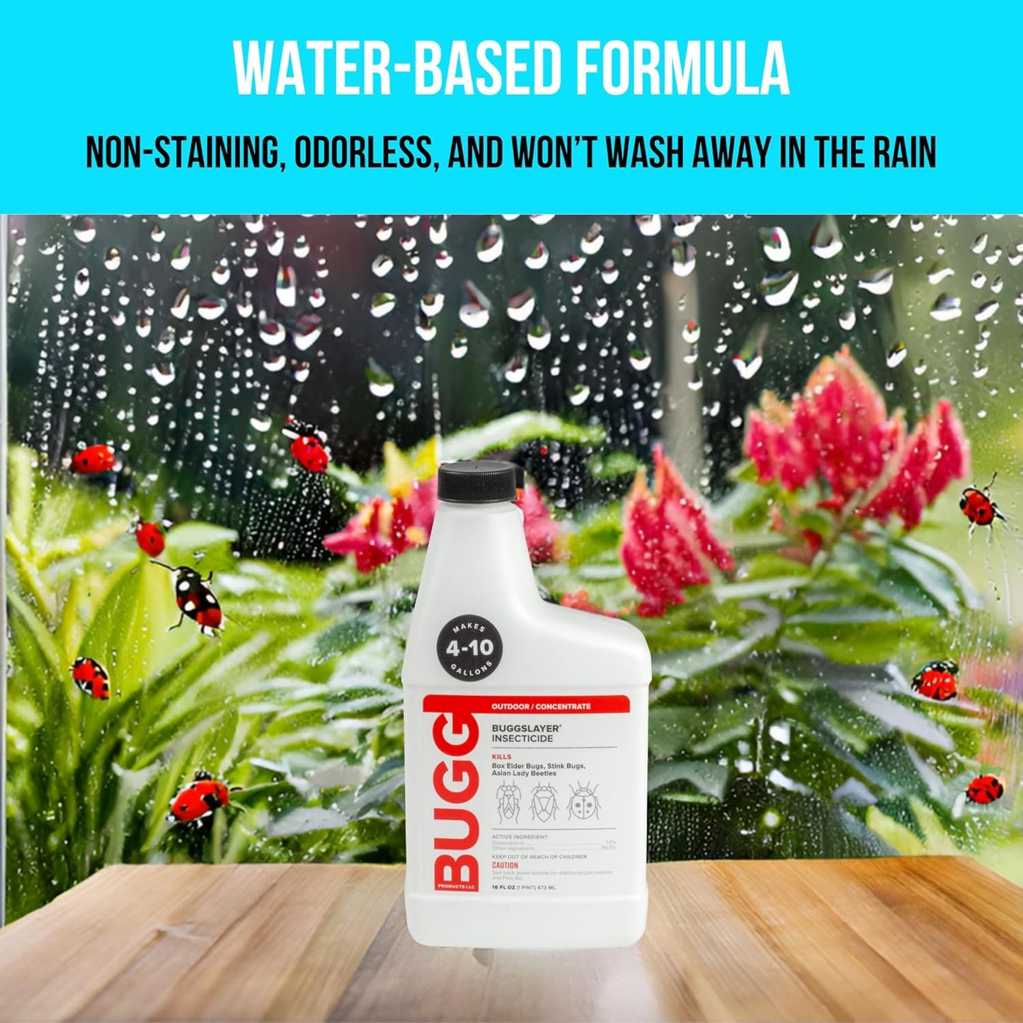 Bugg Insecticide - Concentrate - Outdoor Box Elder Bugs, Stink Bugs, Asian Lady Beetles - 16 oz Bottle