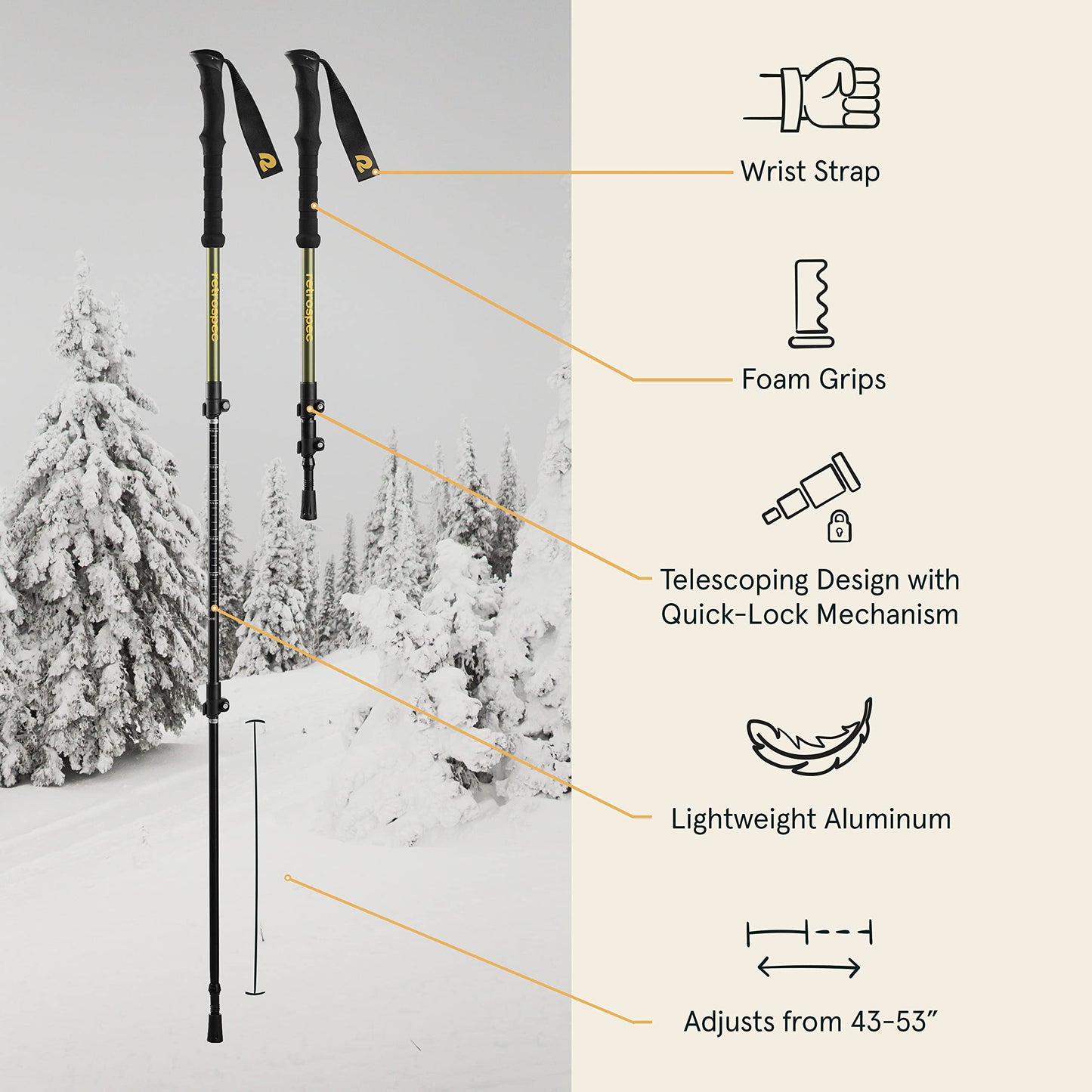 Retrospec Drifter Snowshoes & Trekking Poles Bundle with Adjustable Bindings - Lightweight Aluminum Frame for All Terrain Hiking & Winter Sports