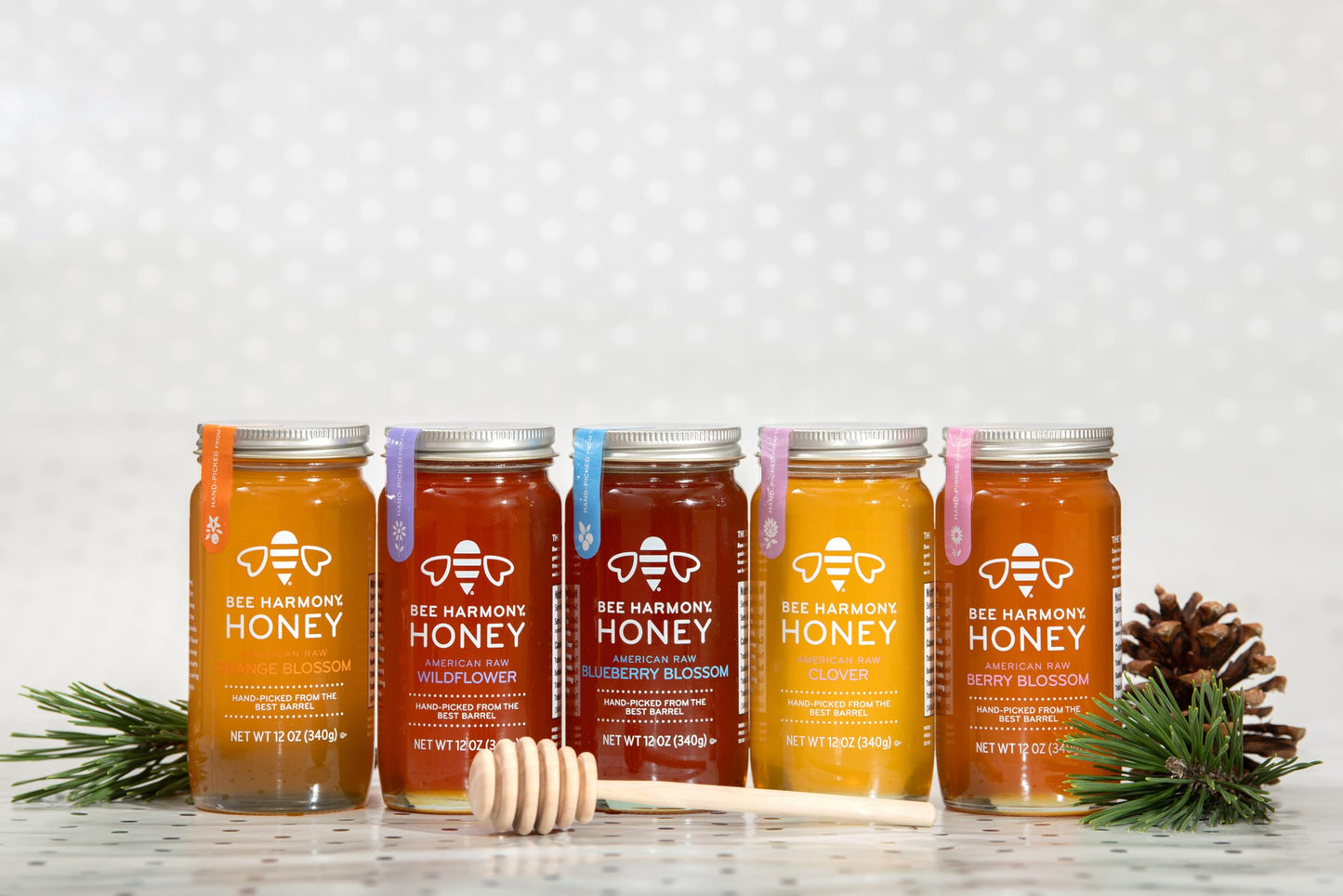 Bee Harmony Honey 5 Pack Variety Pack, 60 Ounce (Clover, Wildflower, Orange Blossom, Berry and Blueberry)