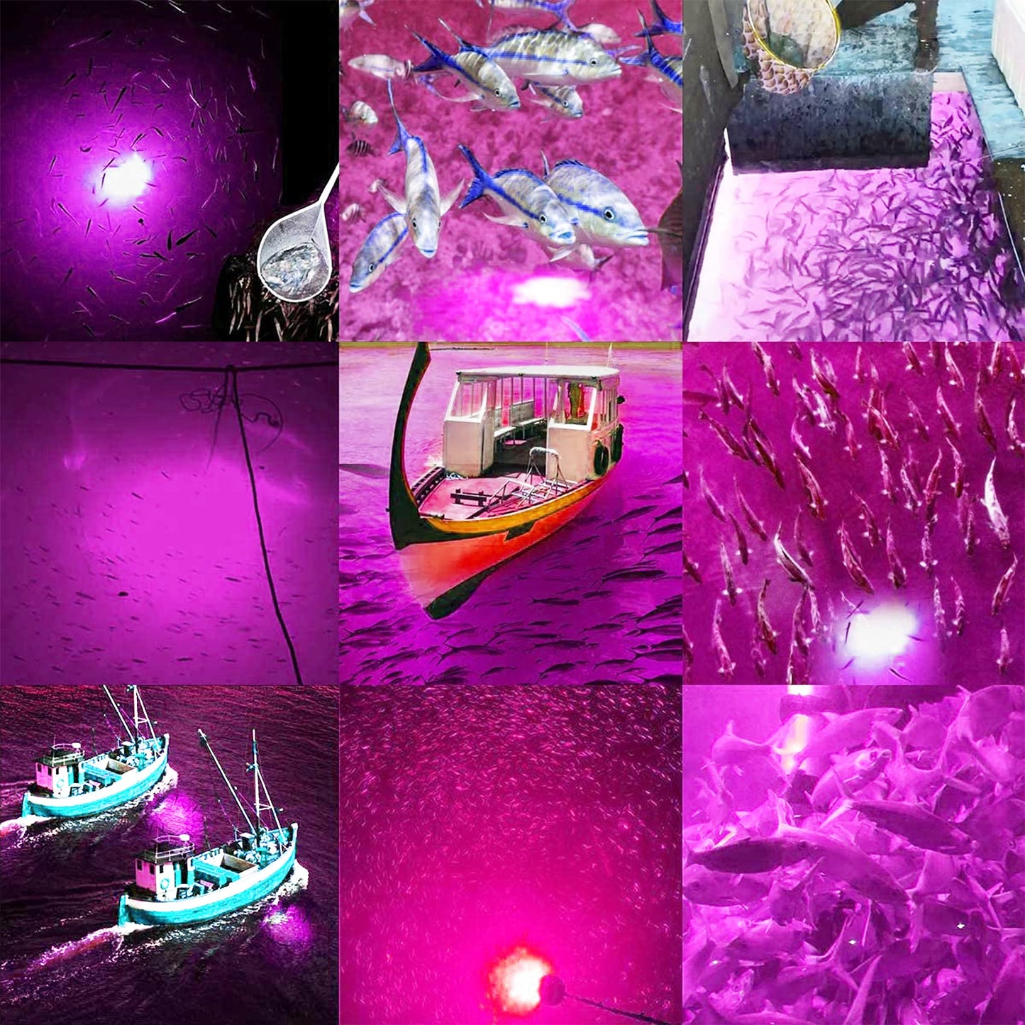 SAMDO IP68 12V LED Underwater Fishing Light 1080 Lumens Fish Attracting Light, Night Fishing Light 10.8W