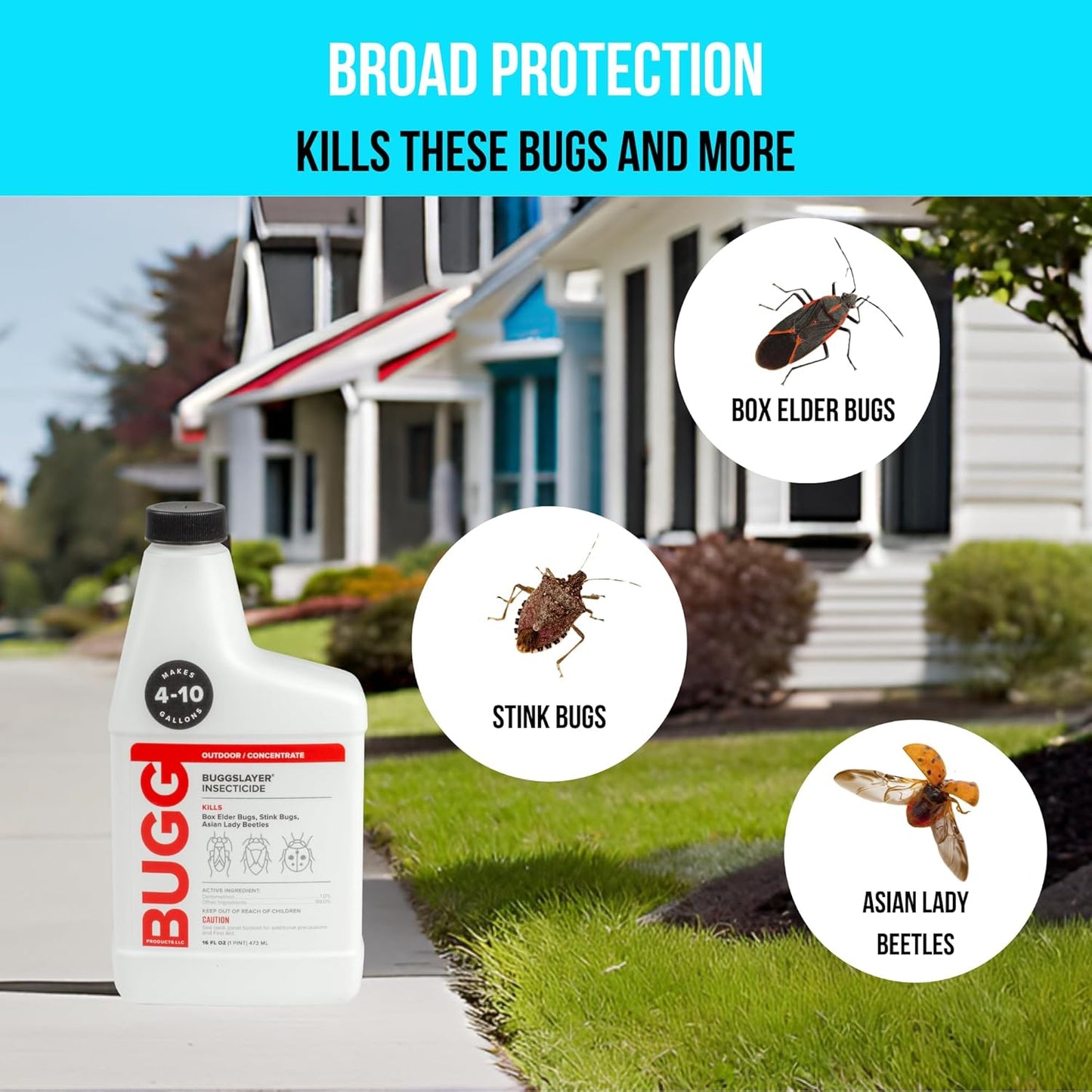 Bugg Insecticide - Concentrate - Outdoor Box Elder Bugs, Stink Bugs, Asian Lady Beetles - 16 oz Bottle
