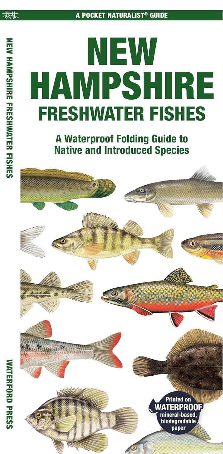 New Hampshire Freshwater Fishes: A Folding Guide to Native and Introduced Species (Nature Observation North America)