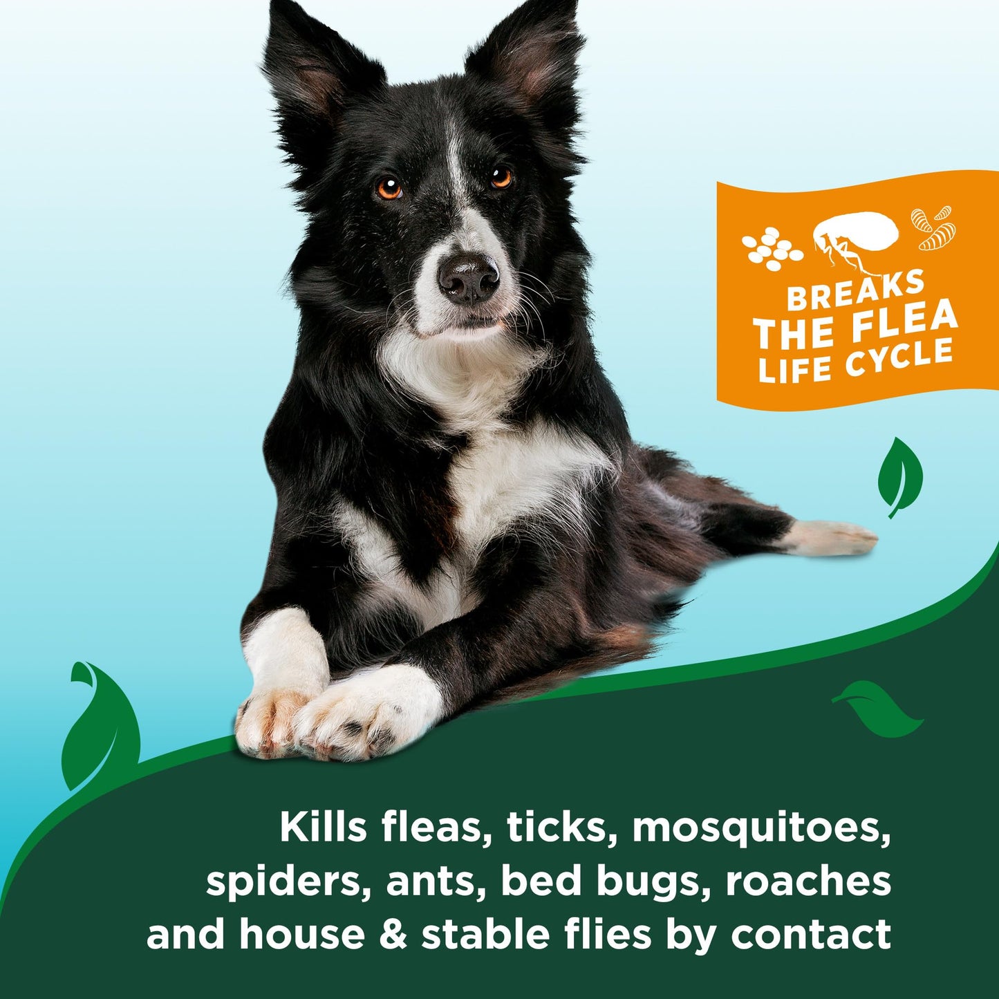 Vet’s Best Flea and Tick Advanced Strength Dog Shampoo - Dog Flea and Tick Treatment - Plant-Based Formula - Certified Natural Oils - 12 oz