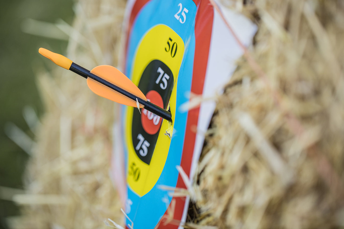 Bear Archery Youth Safety Glass Arrows, Durable & Splinter-Free Fiberglass Arrows, Nocks and Points Included, Pre-Fletched with Vanes, America's No. 1 Youth Archery Brand