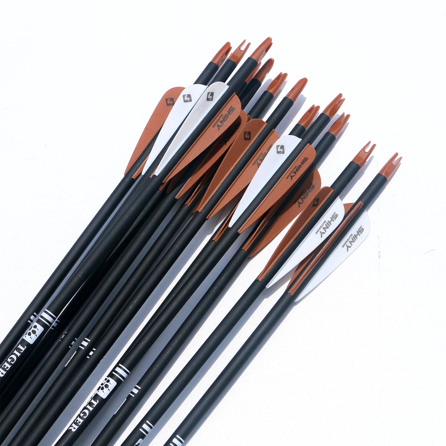30Inch Carbon Arrow Practice Hunting Arrows with Removable Tips for Compound & Recurve Bow(Pack of 12)