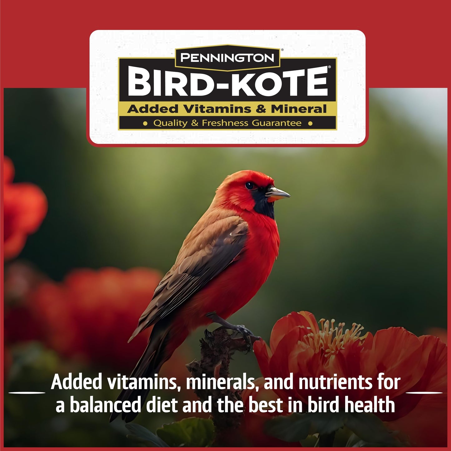 Pennington Pride Songbird Nut & Fruit Blend, Wild Bird Seed for Outside Feeders, Advanced Nutrition Formula for Bird Health, 10-lb. Bag