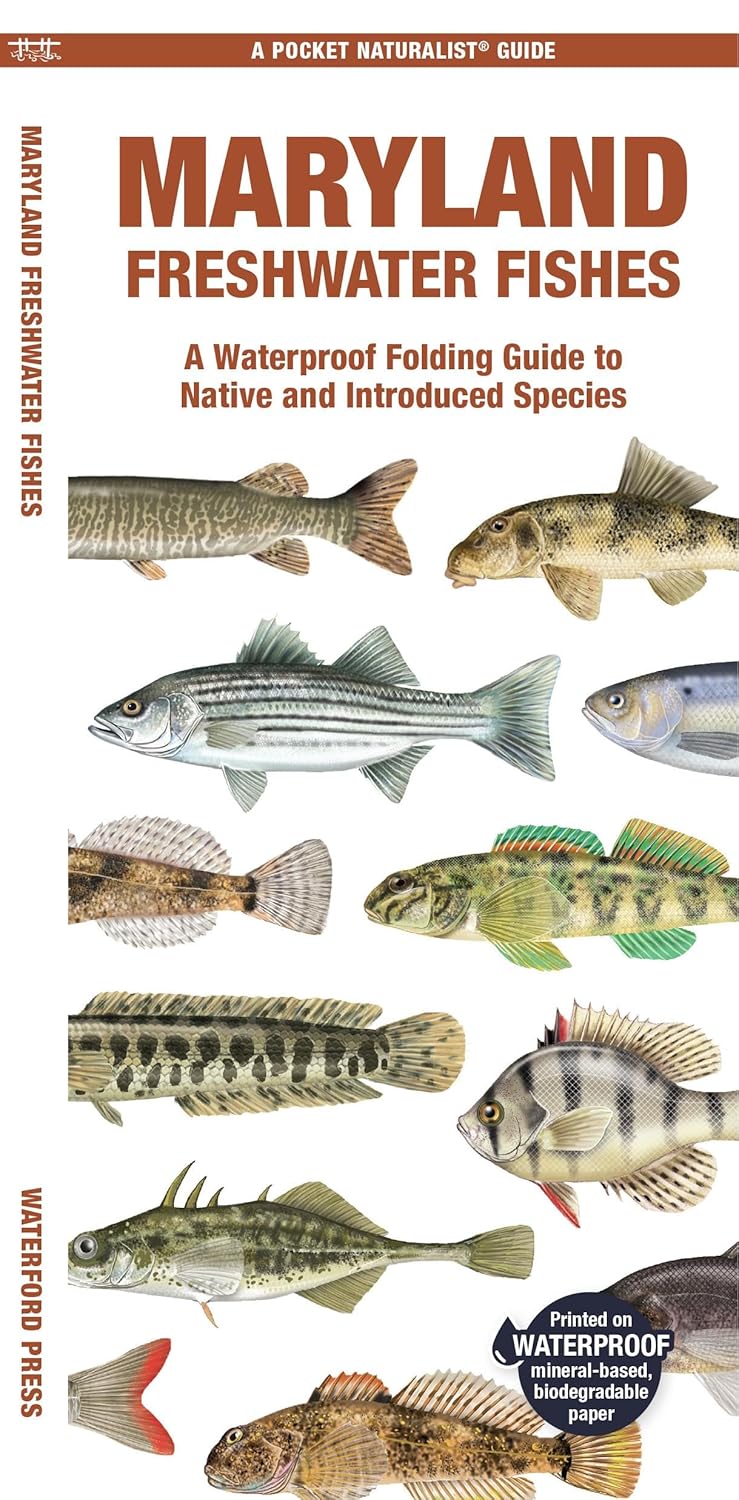 Maryland Freshwater Fishes: A Folding Guide to Native and Introduced Species (Nature Observation North America)
